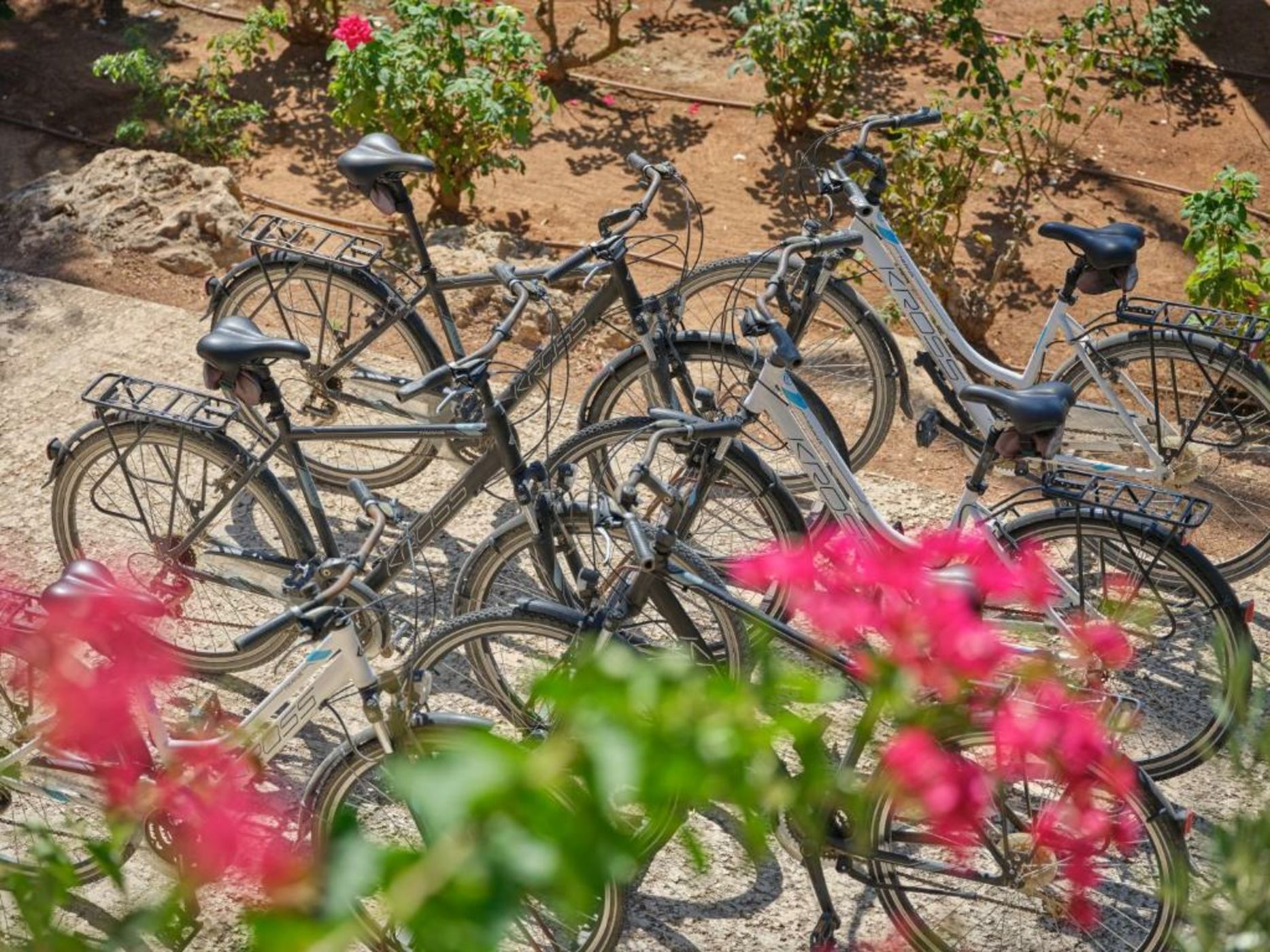 Son Penya Adults Only Petit Hotel & Spa