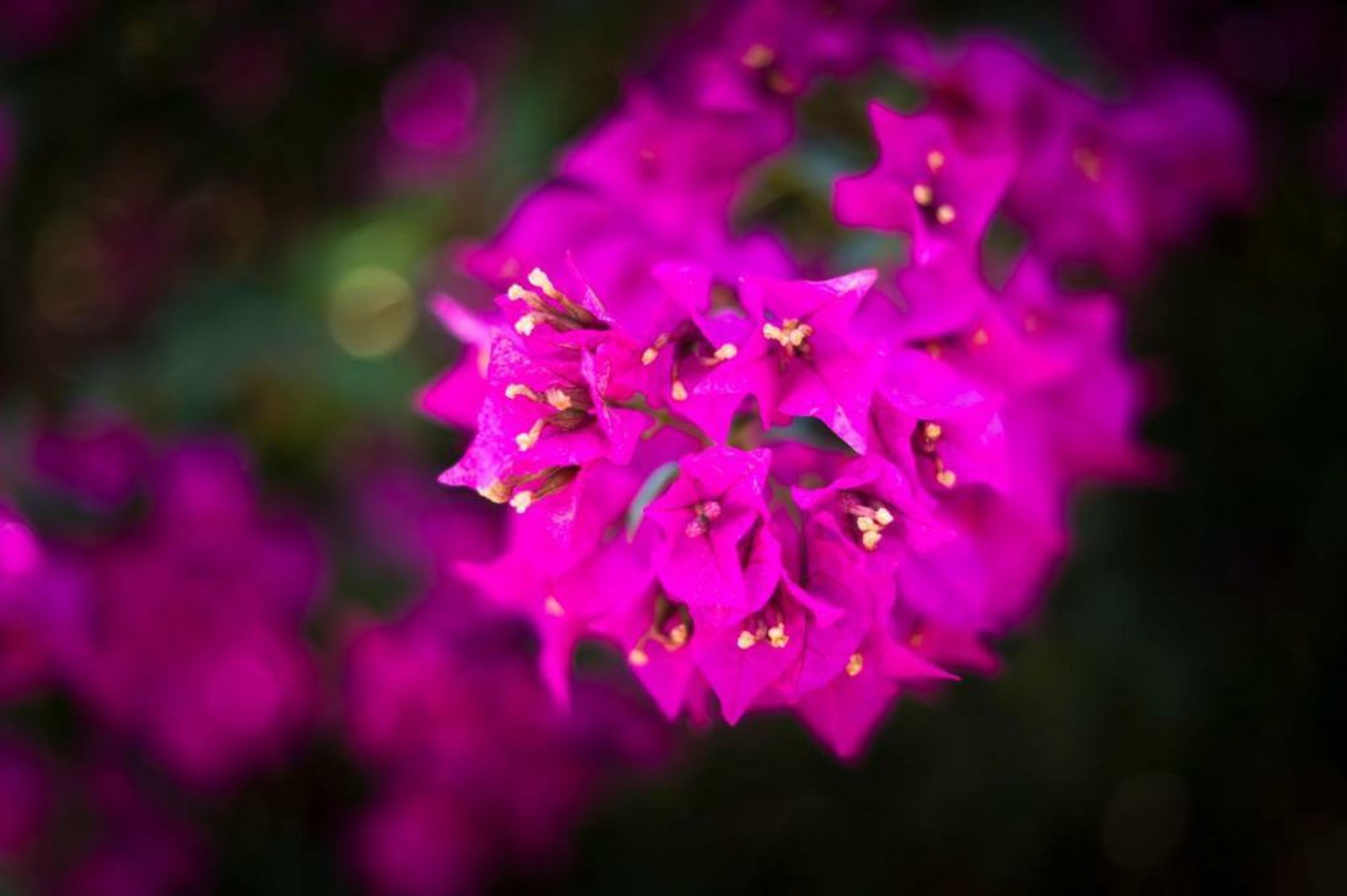 Ca's Xorc Luxury Retreat - ADULTS ONLY