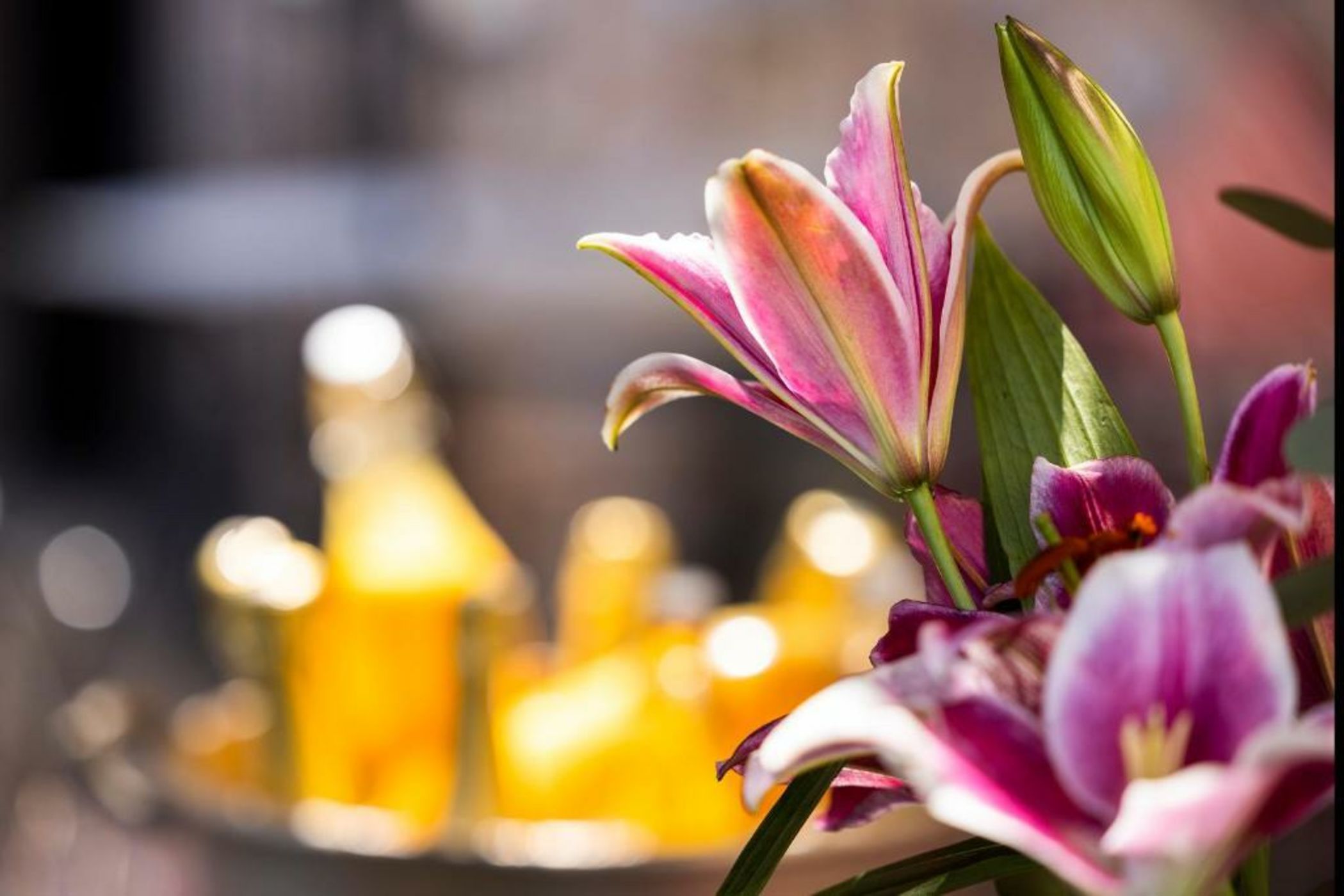 Ca's Xorc Luxury Retreat - ADULTS ONLY