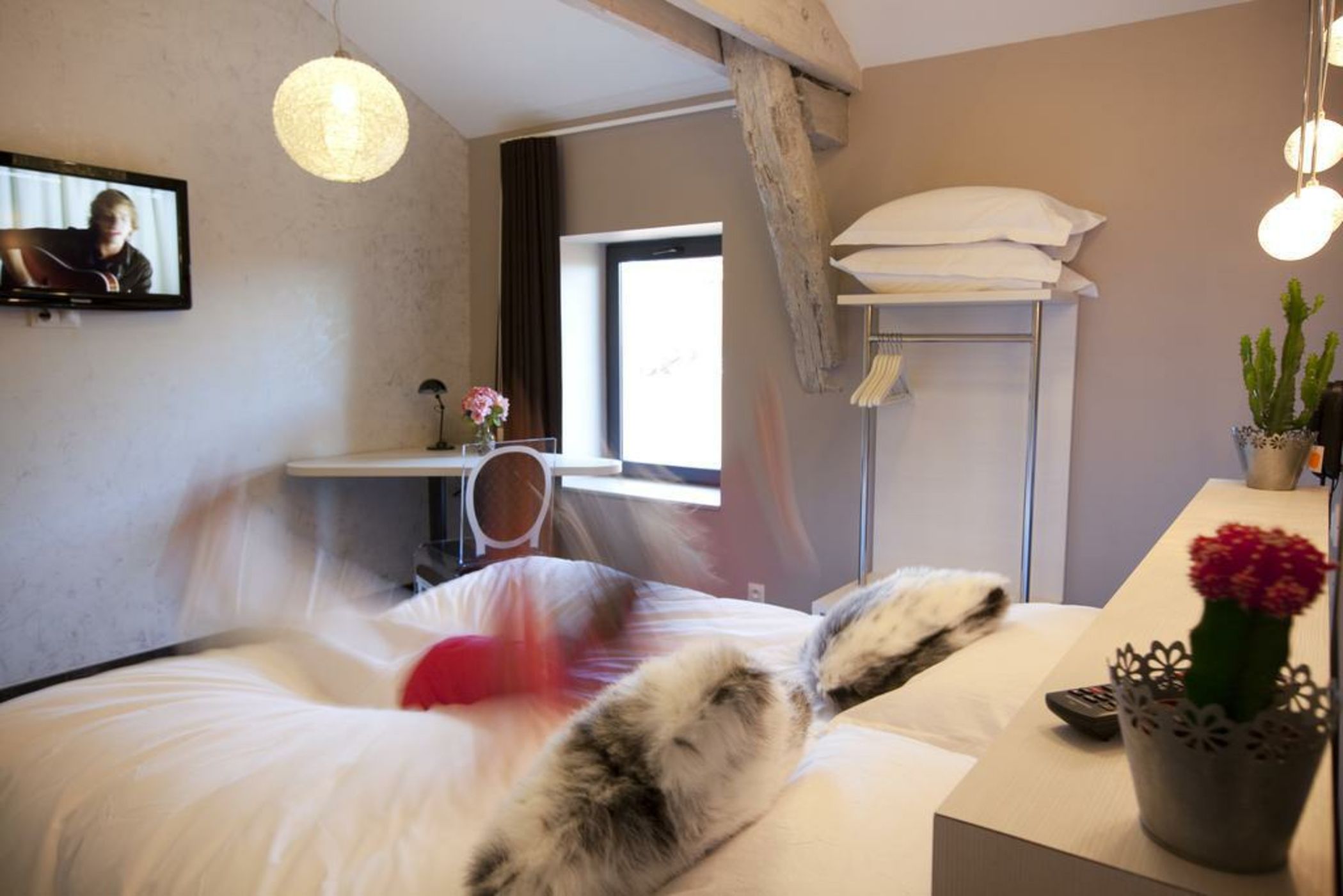 Les Fleurines Boutique Hôtel Centre Ville