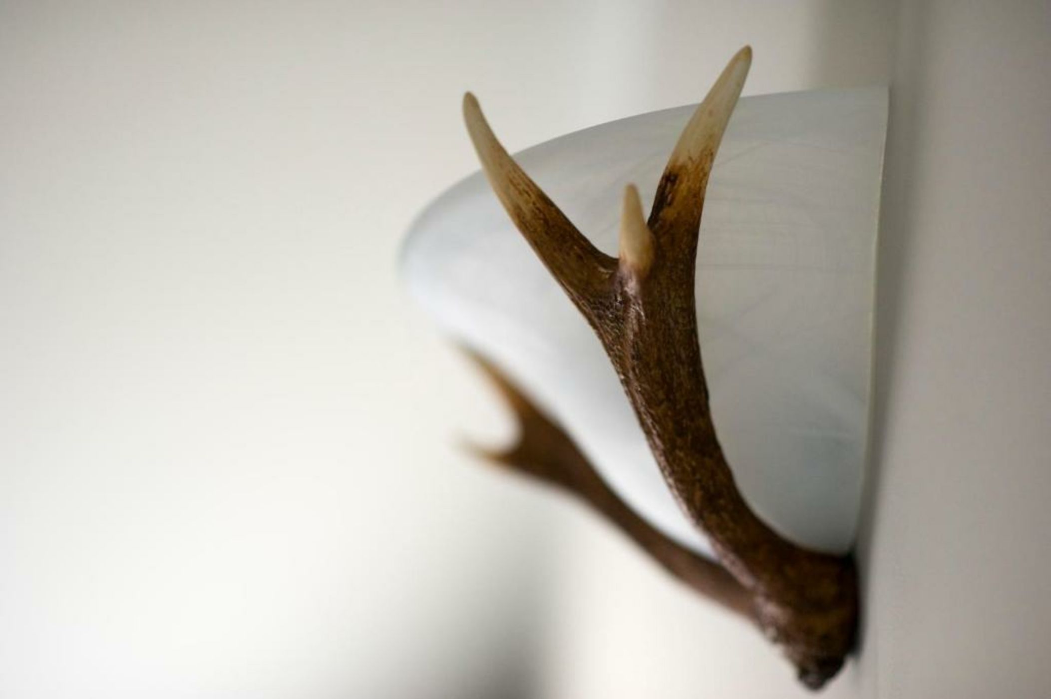 Crazy Fox Hurley Boutique B&B