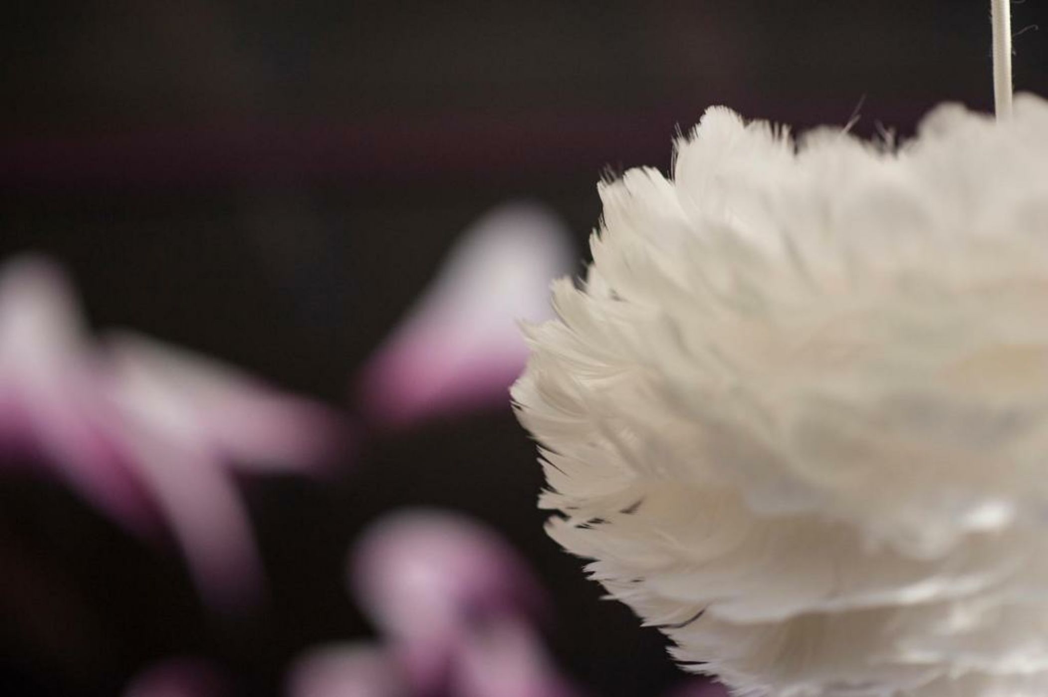 Crazy Fox Hurley Boutique B&B