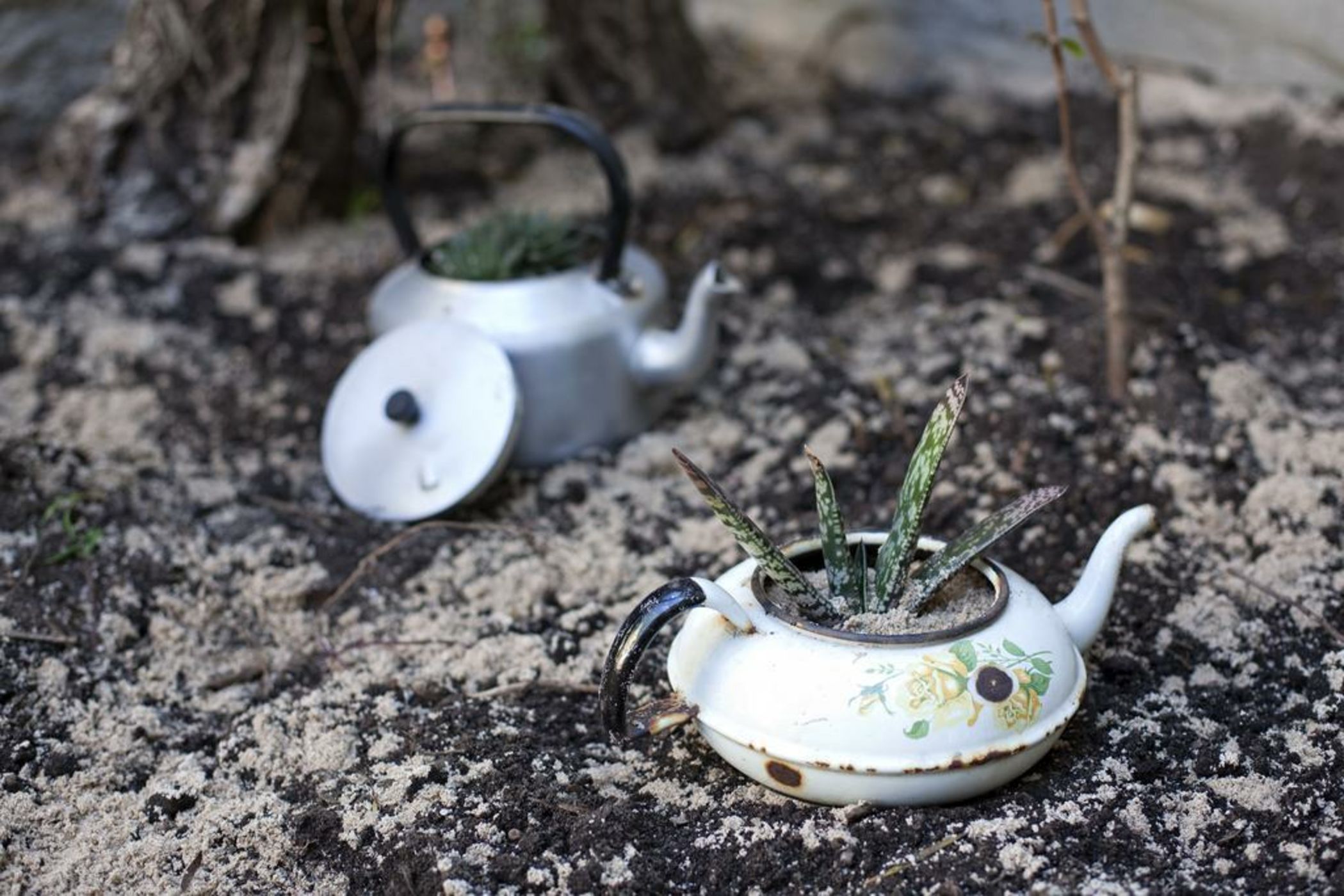 The B.I.G Backpackers