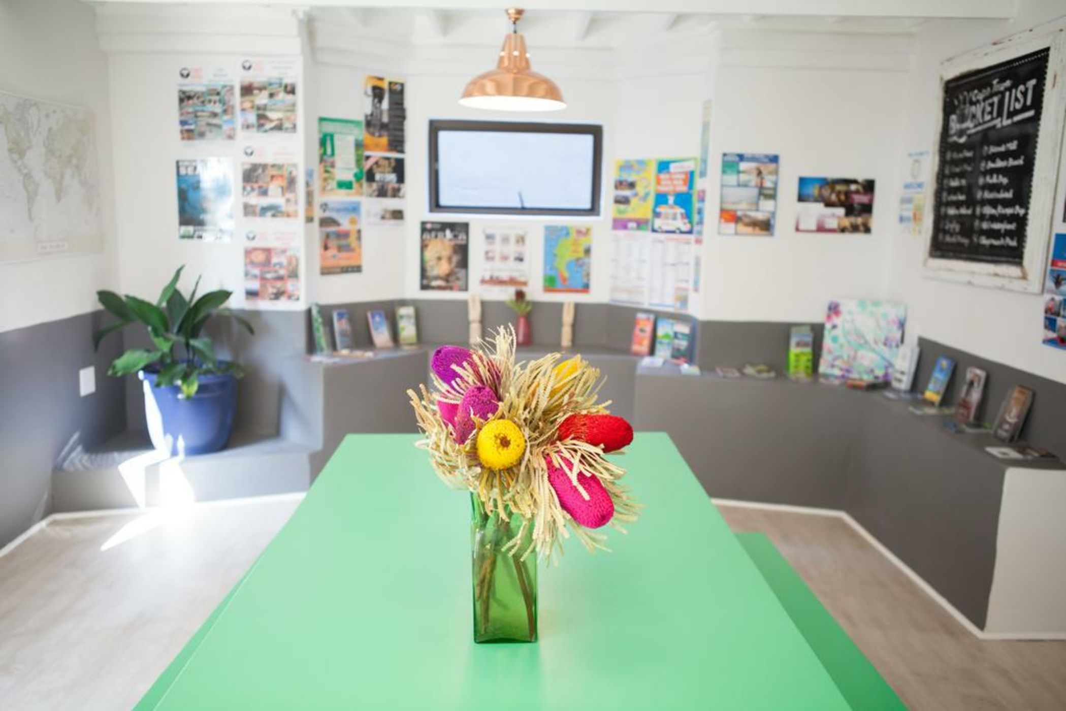 The B.I.G Backpackers