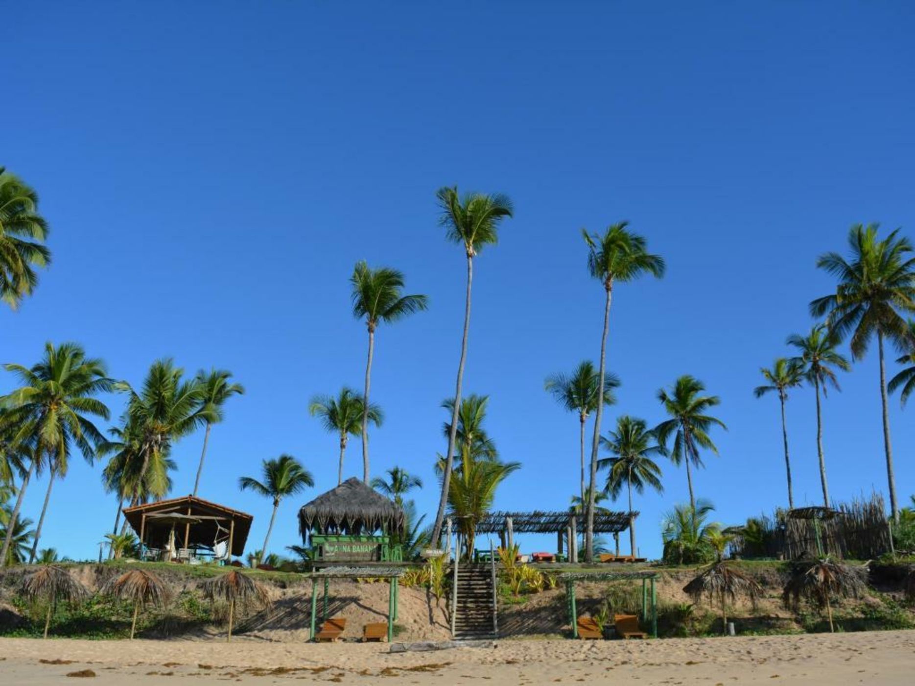 Butterfly House Bahia