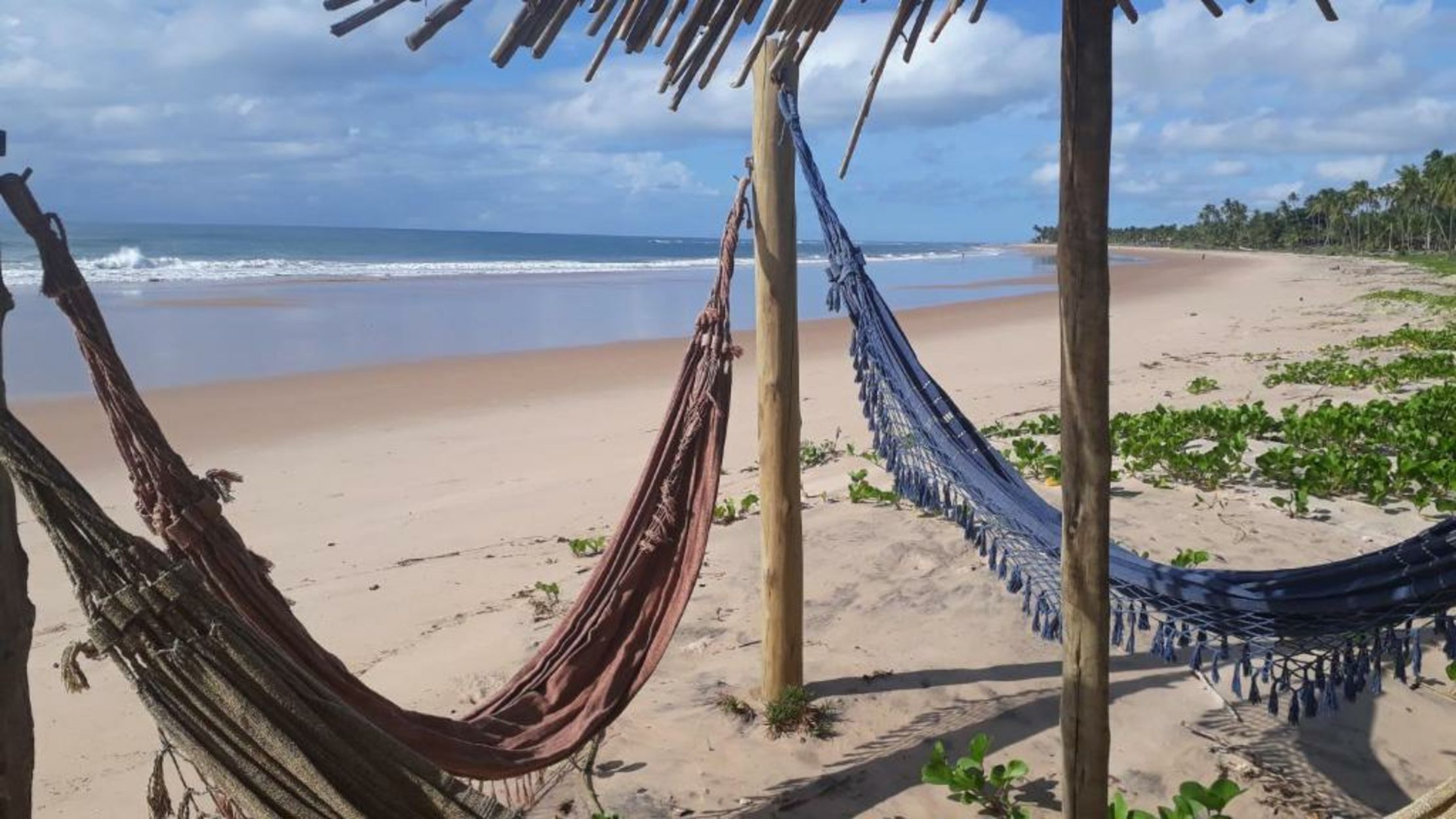 Butterfly House Bahia