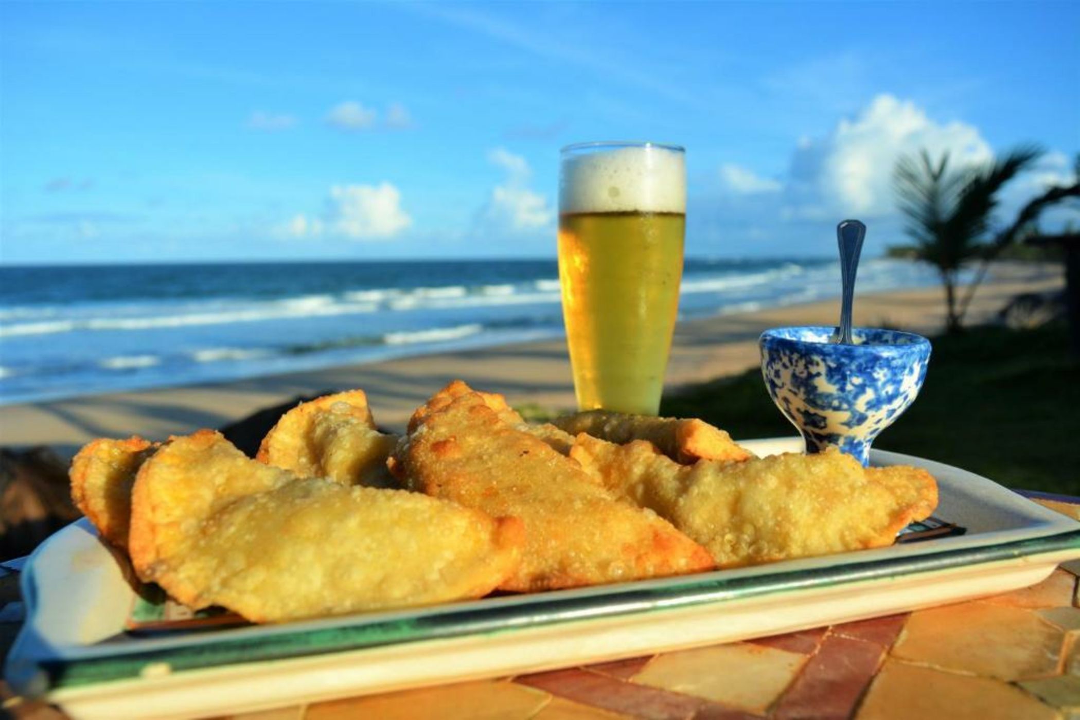 Butterfly House Bahia