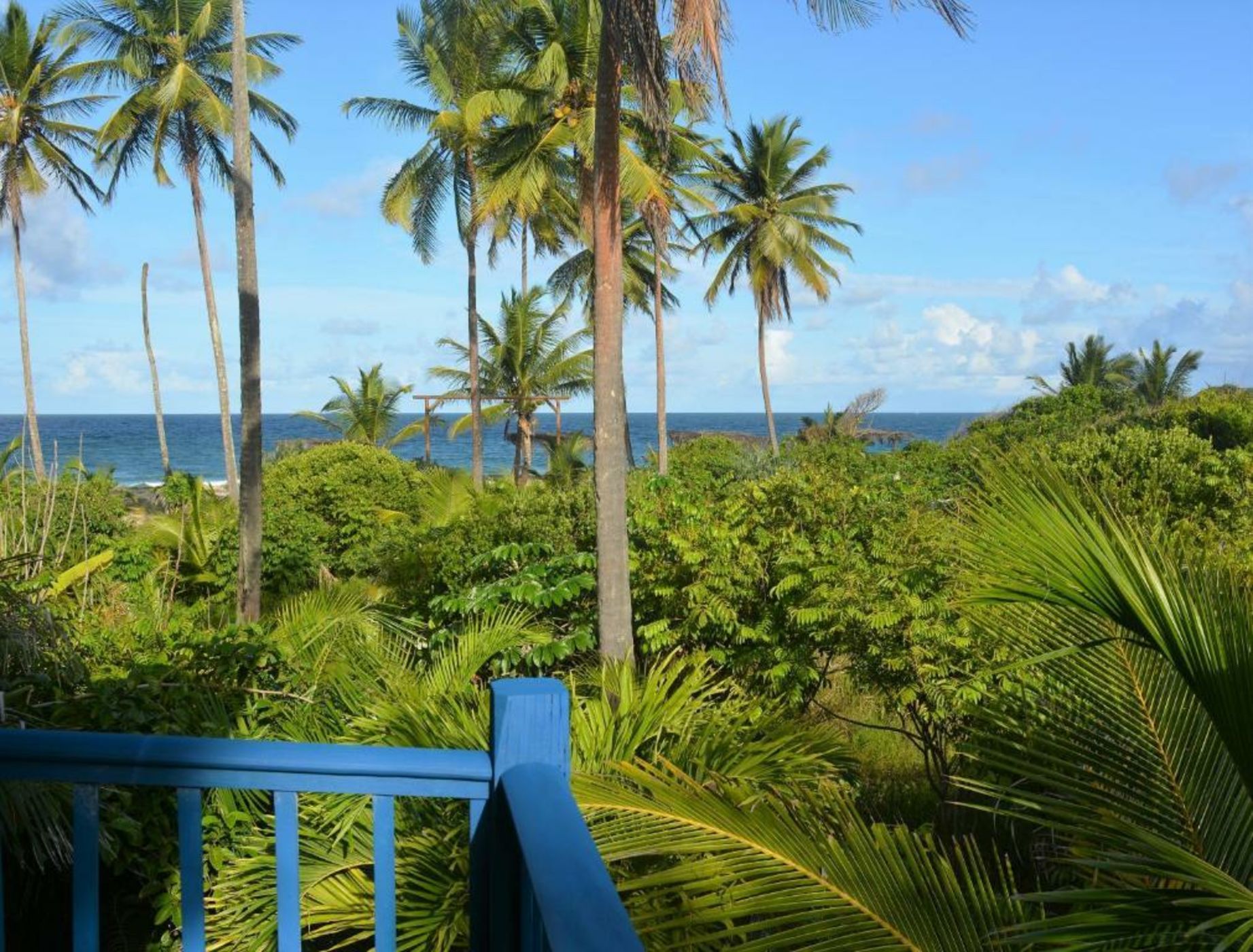 Butterfly House Bahia