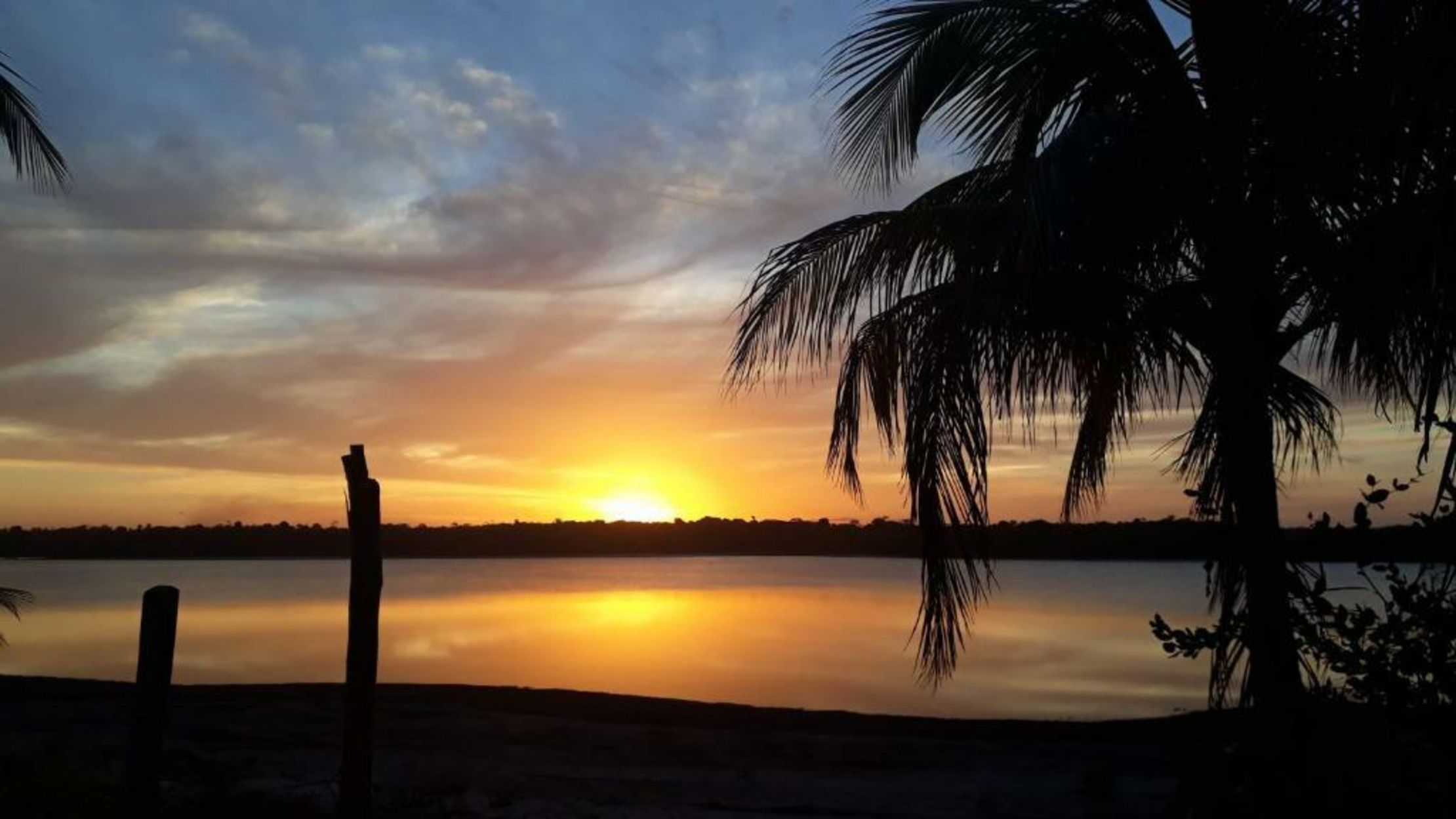 Butterfly House Bahia