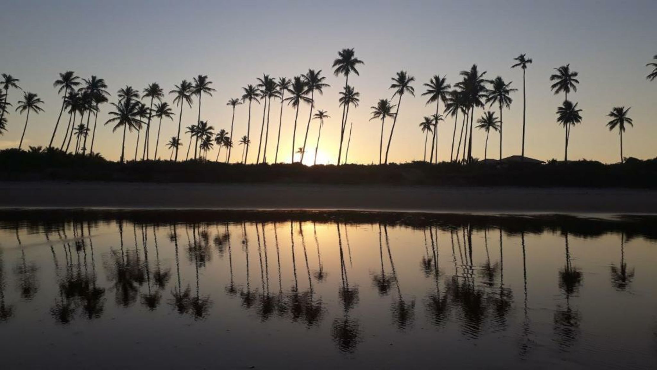 Butterfly House Bahia