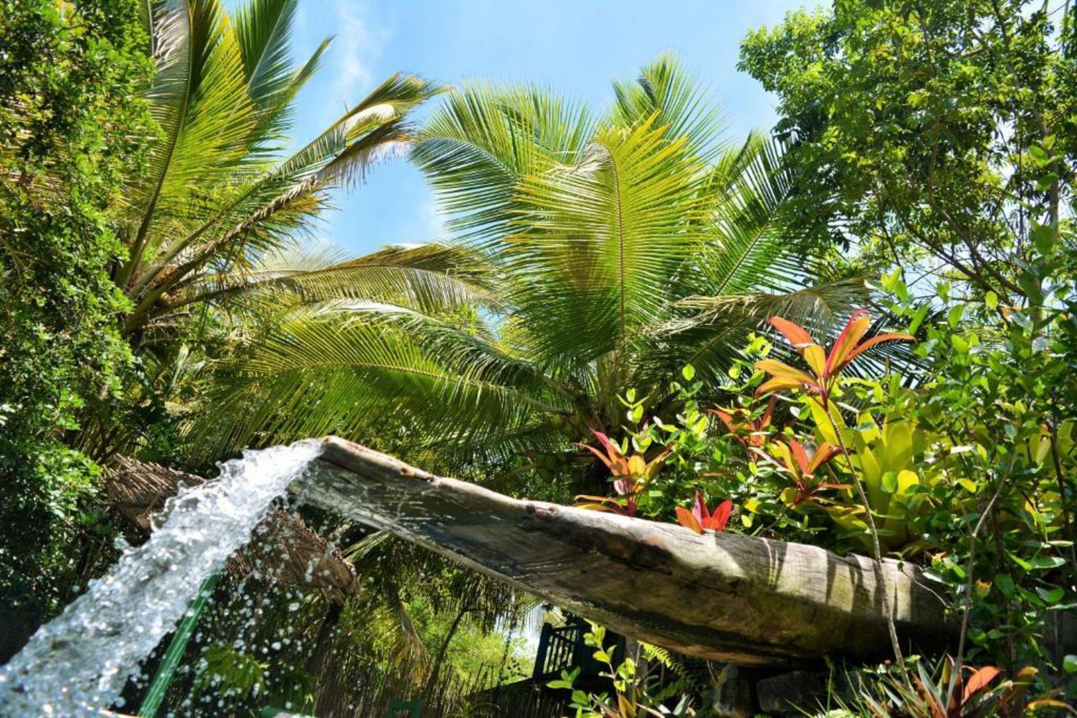 Butterfly House Bahia