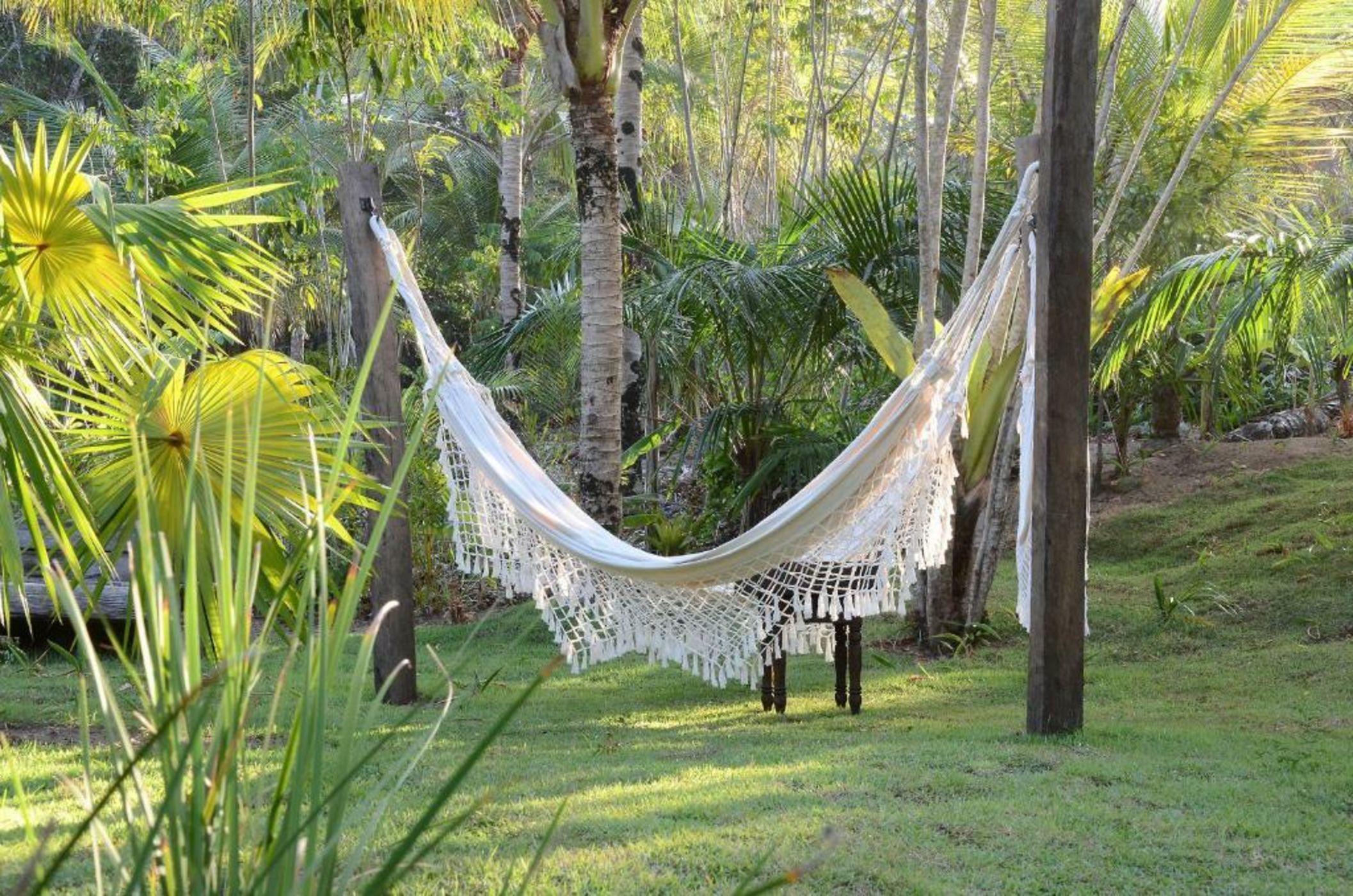 Butterfly House Bahia