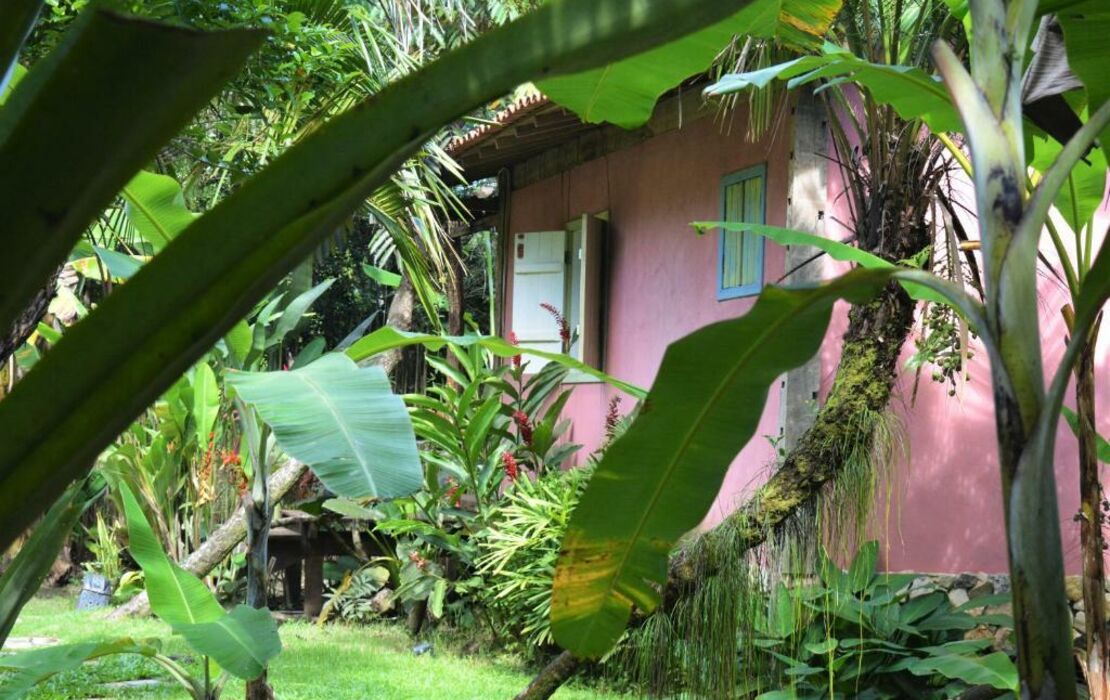 Butterfly House Bahia