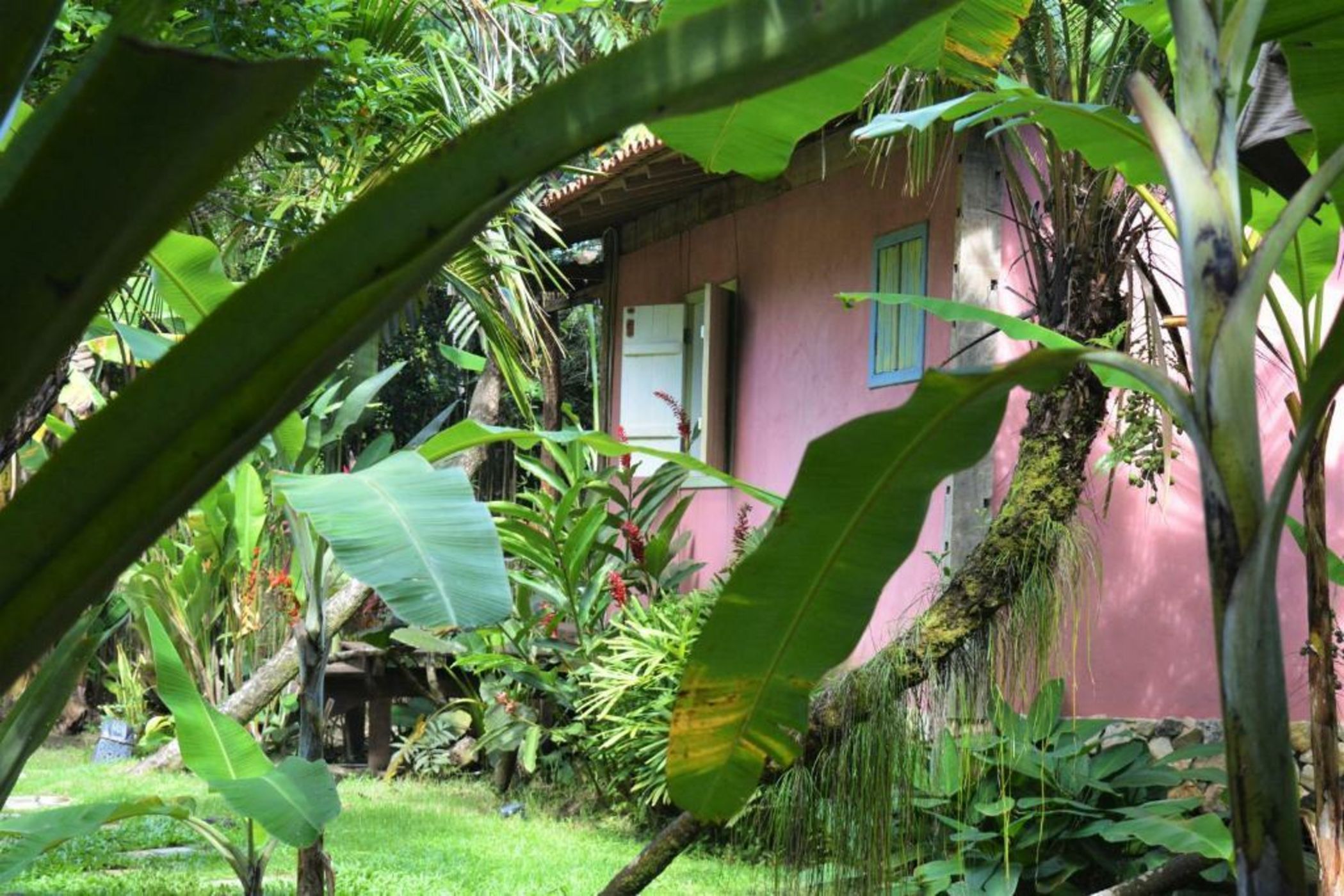 Butterfly House Bahia