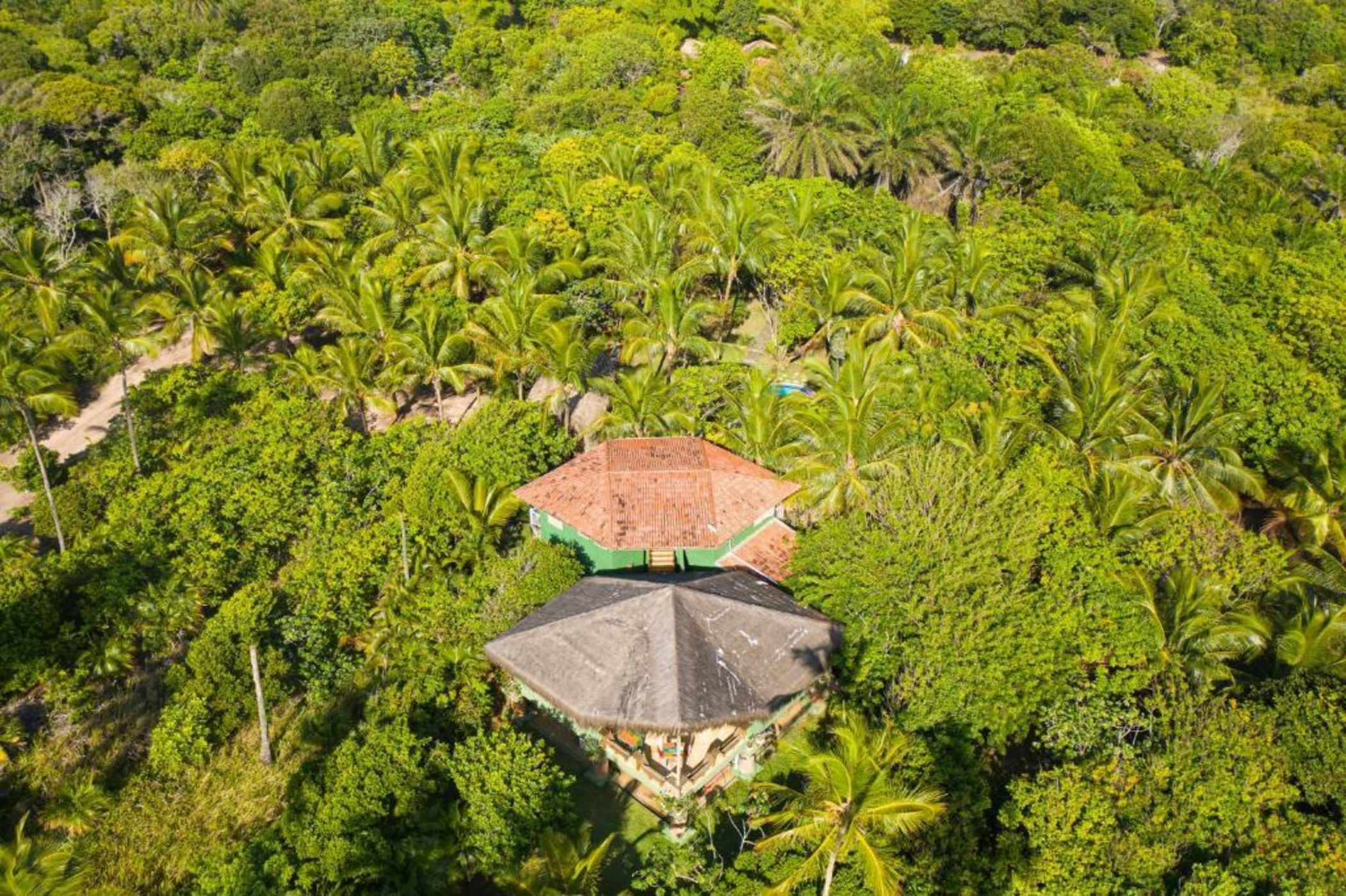 Butterfly House Bahia