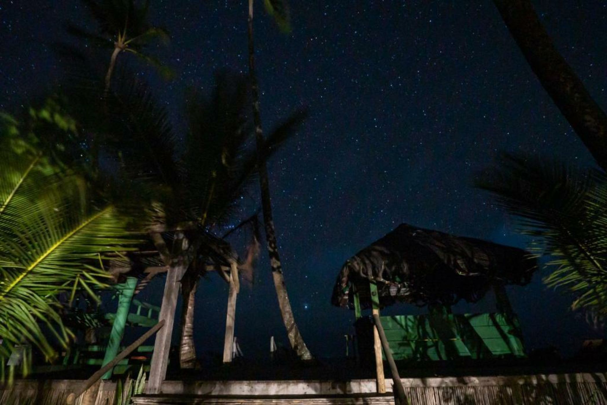 Butterfly House Bahia