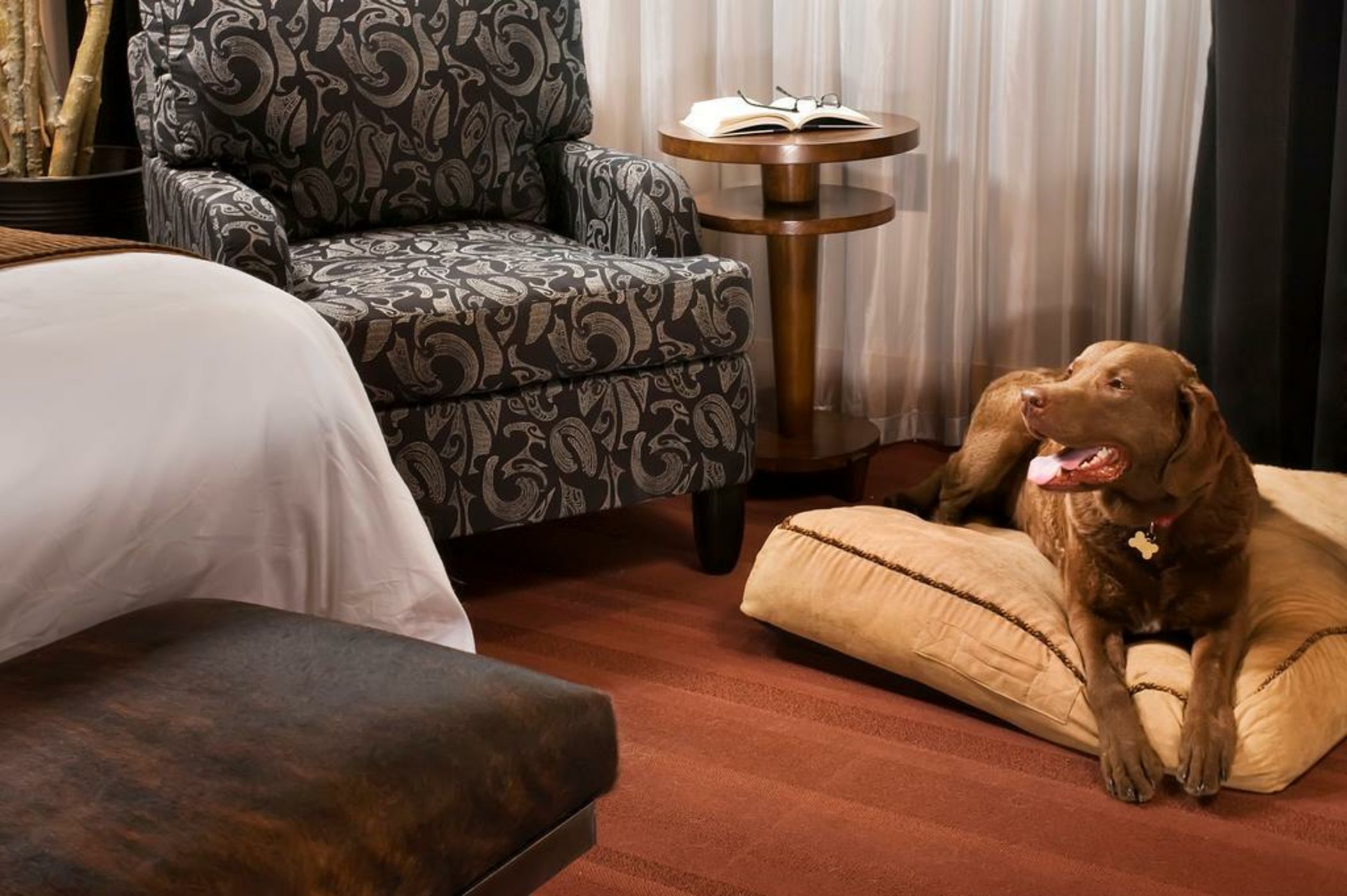 The Iron Horse Hotel