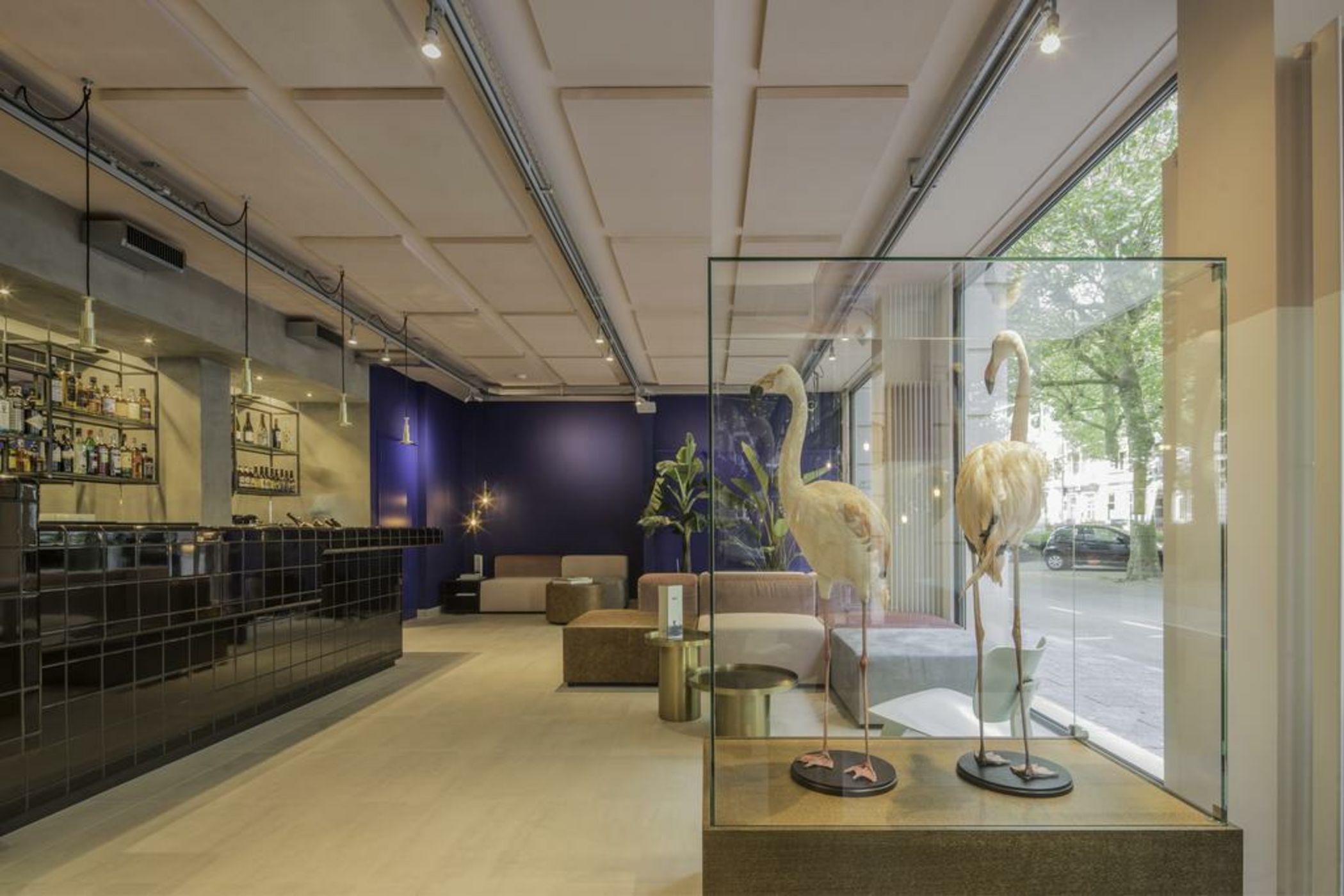 The Dutch Maastricht