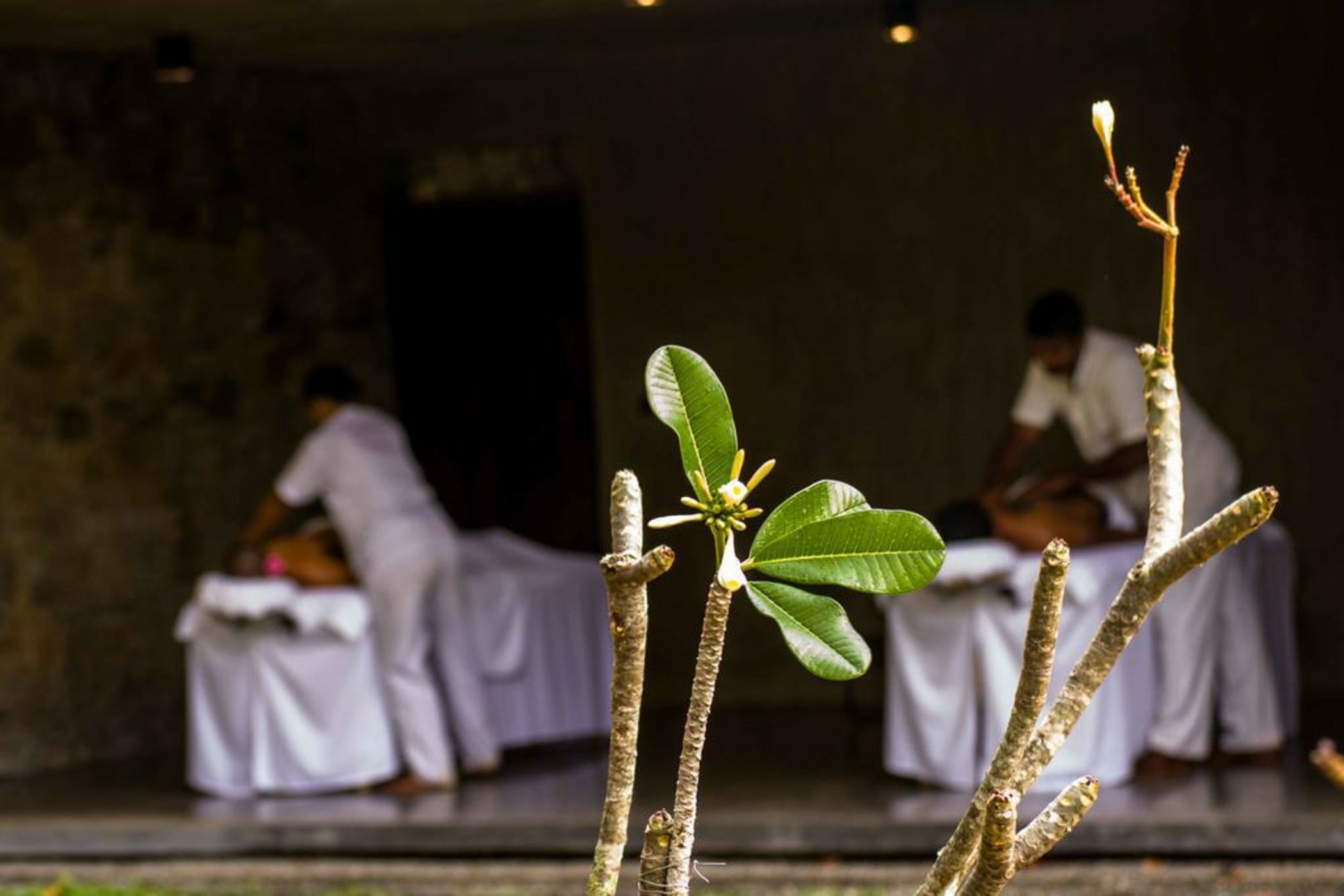 Santani Resort & Spa