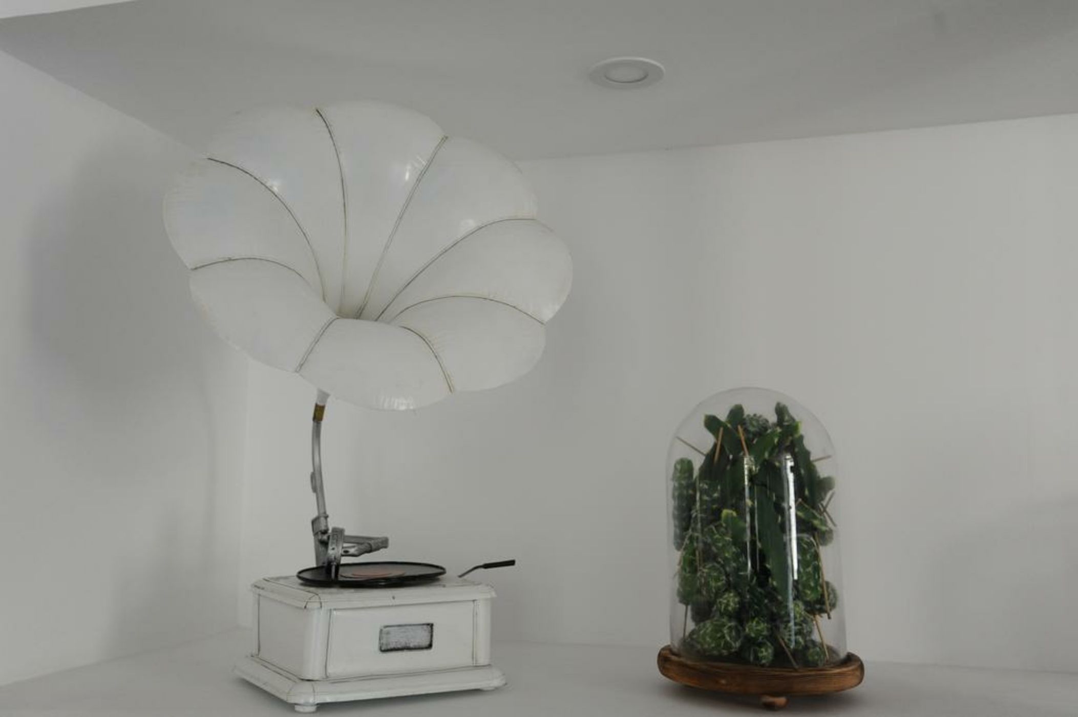 My Apartment  - Yehoash Street