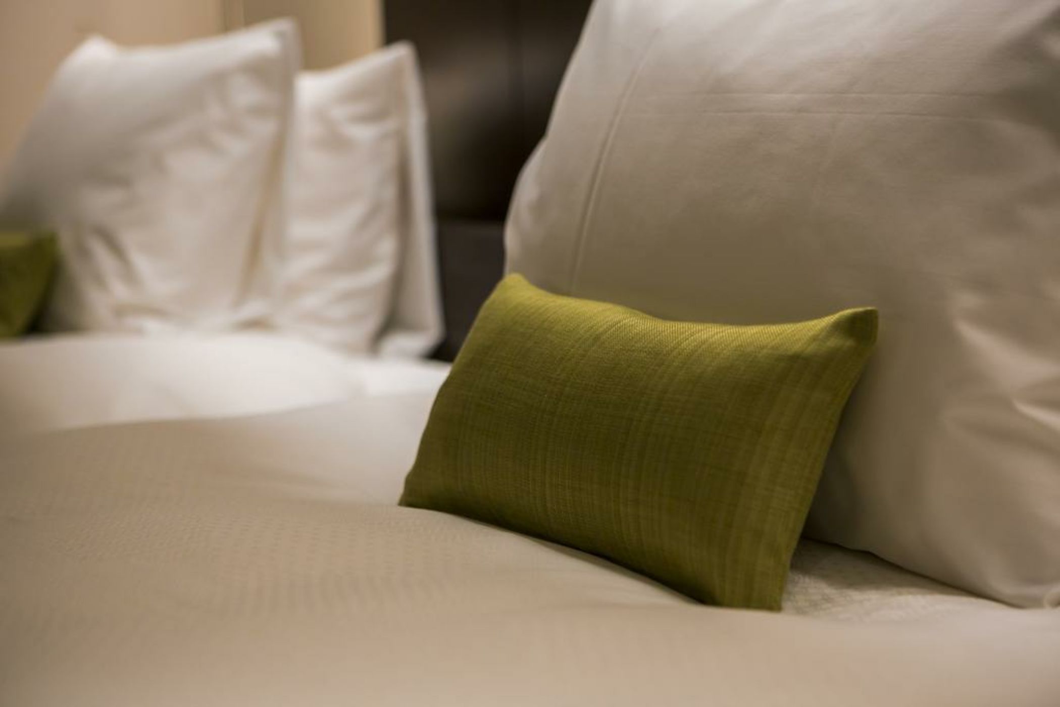 Hotel Ryumeikan Ochanomizu Honten