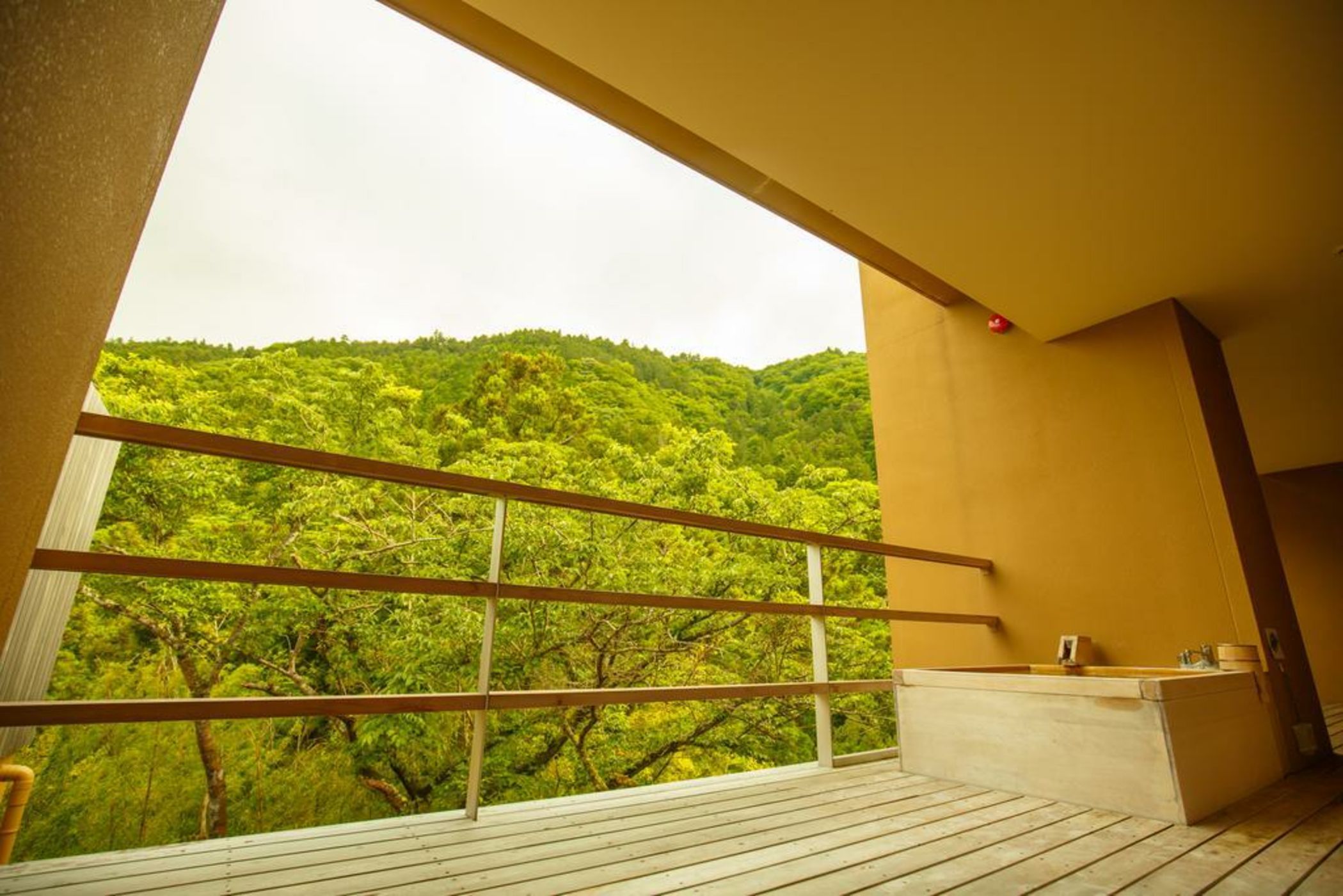 Kinnotake Tonosawa (Adult Only)