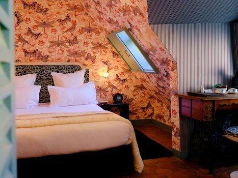 Hotel du Petit Moulin