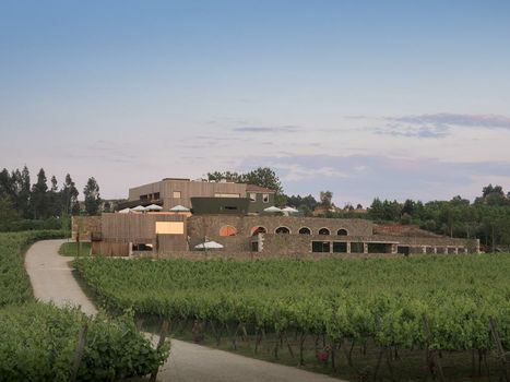 Monverde - Wine Experience Hotel - member of Unlock Hotels