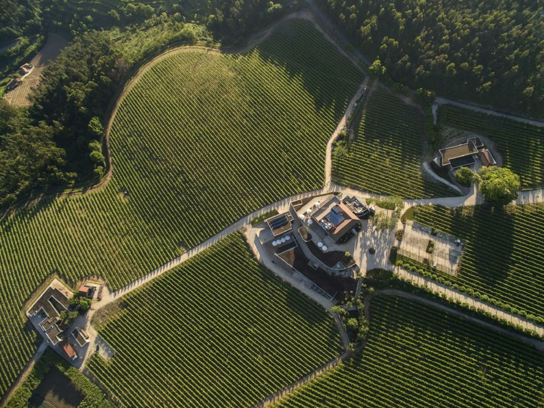 Monverde - Wine Experience Hotel - member of Unlock Hotels