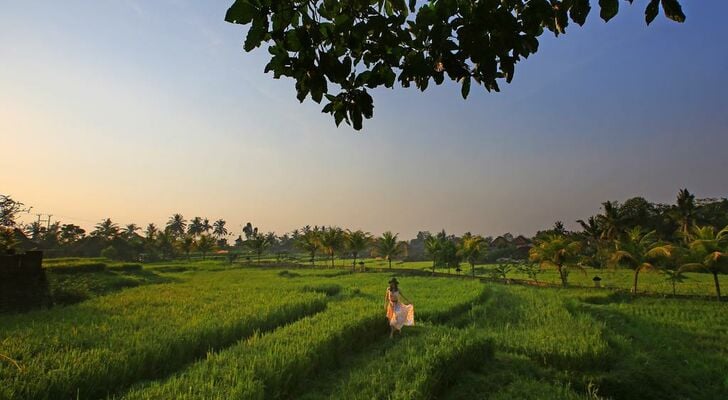 Wapa di Ume Ubud