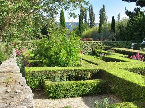 La Cour Des Sens