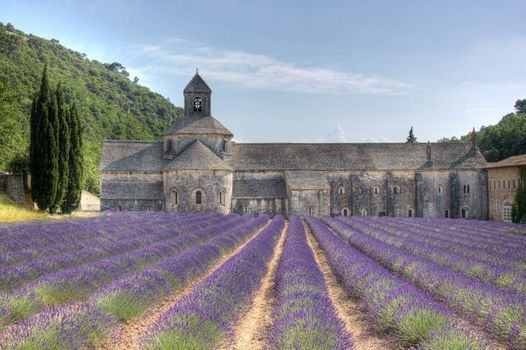 La Cour Des Sens