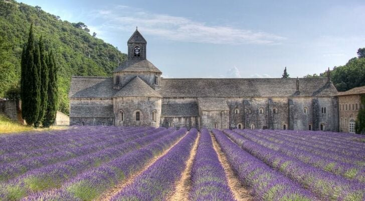 La Cour Des Sens