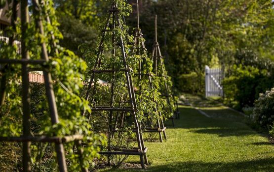 Le Domaine d'Ablon
