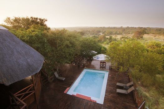 Naledi Bushlodge