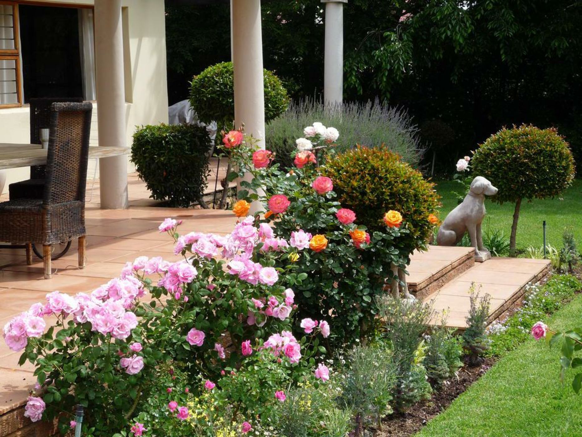 Worcester Cottage and Suite