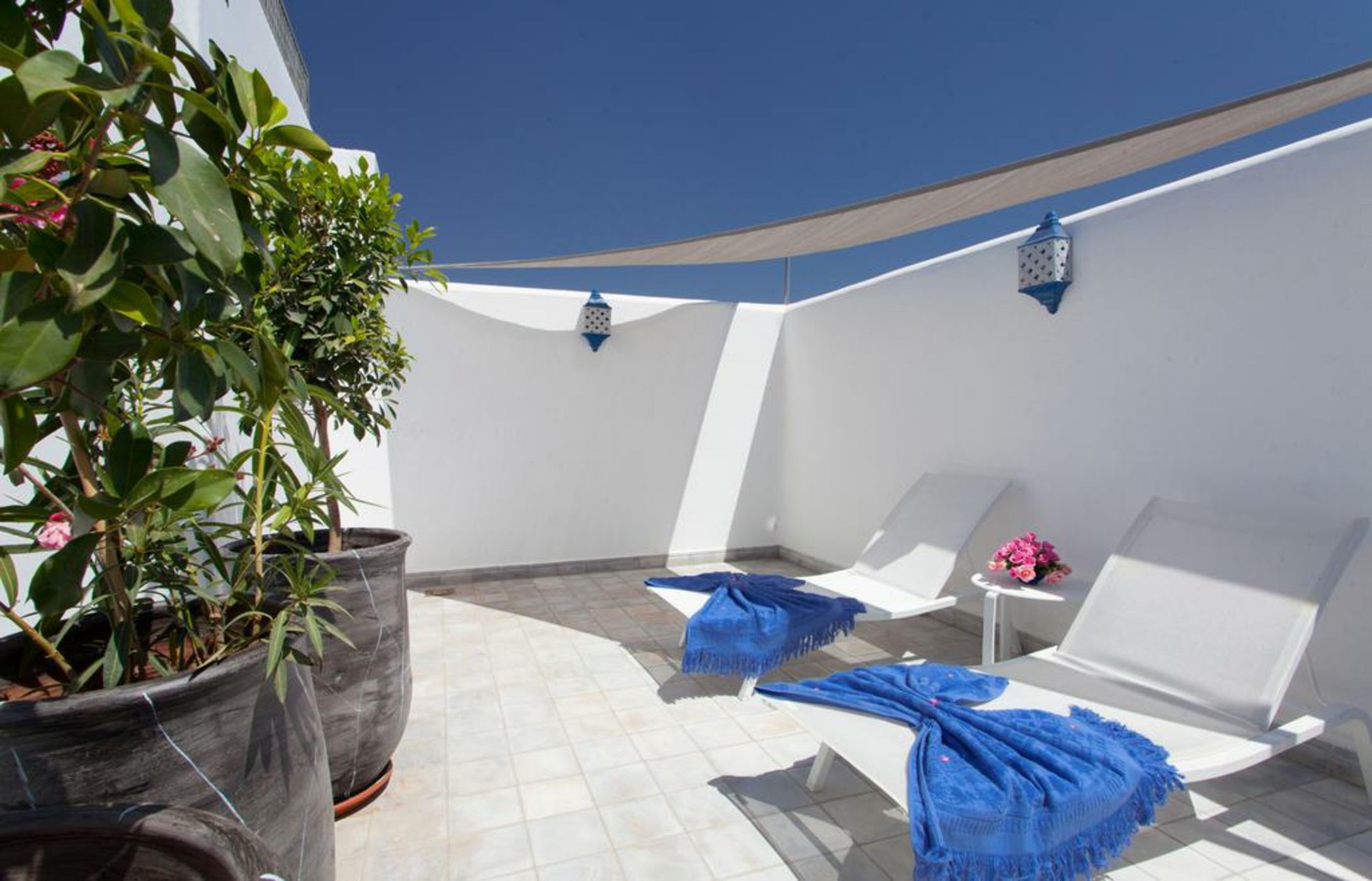 Riad Le Perroquet Bleu Suites & Spa