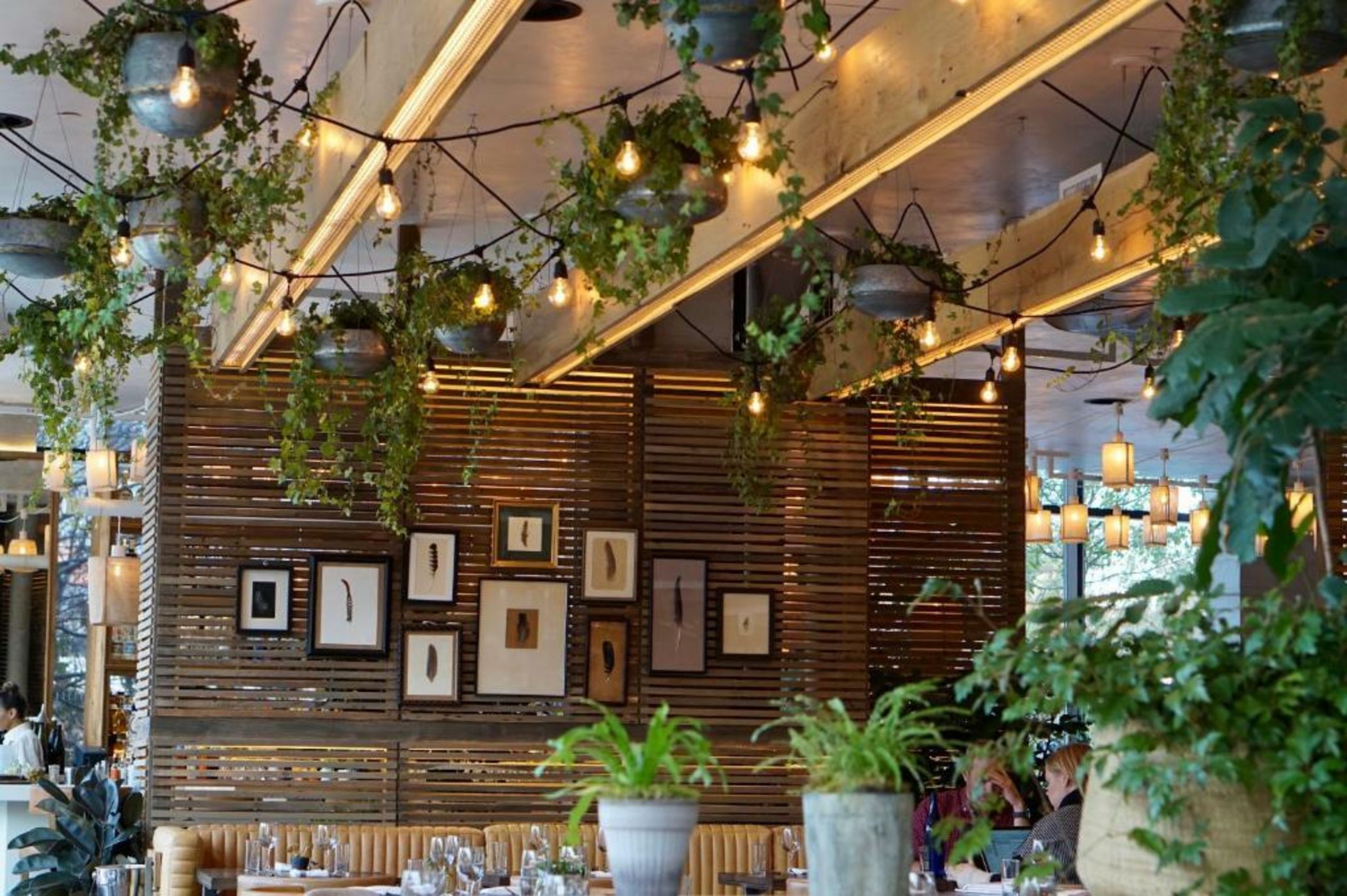 1 Hotel Brooklyn Bridge