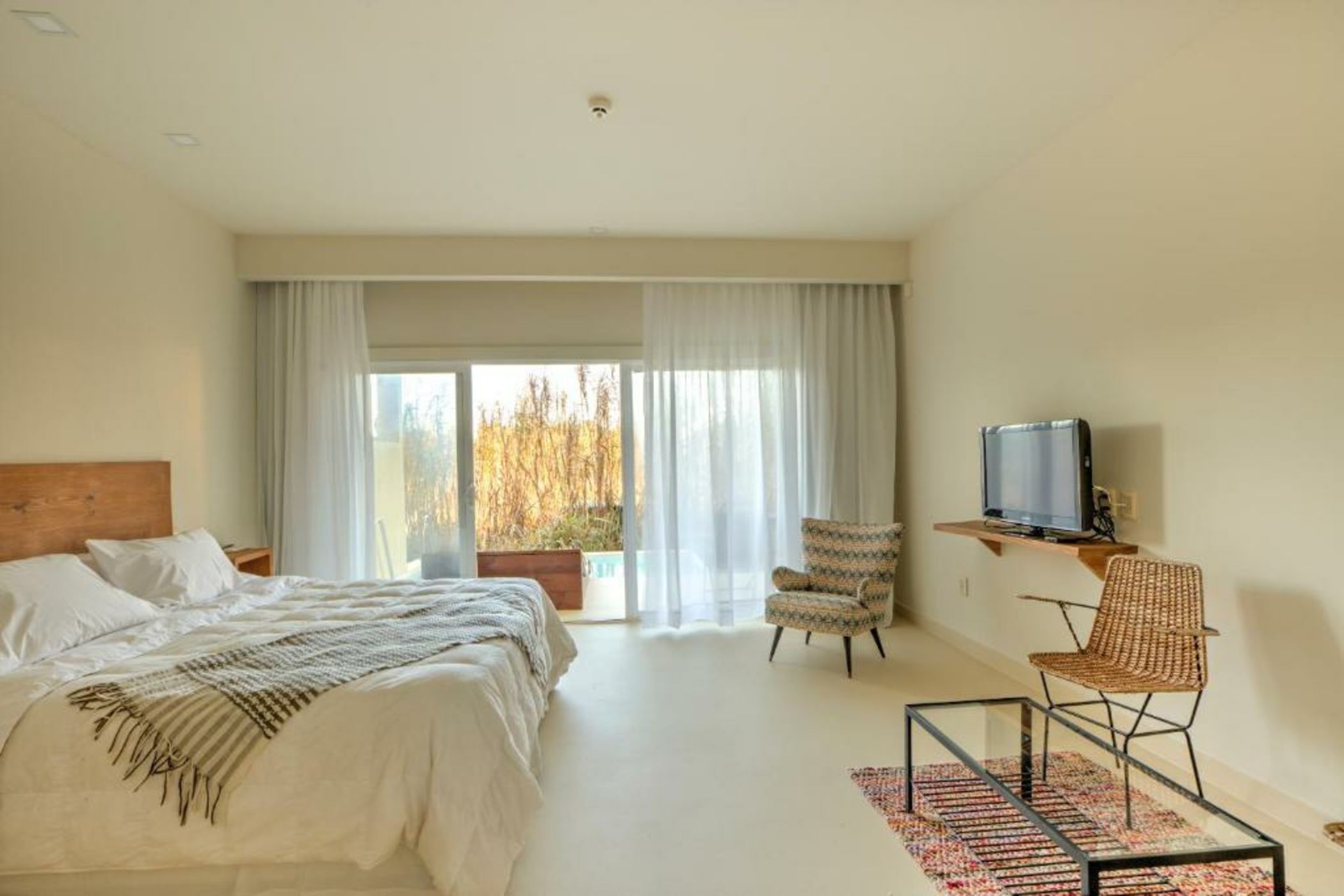 La Viuda de José Ignacio