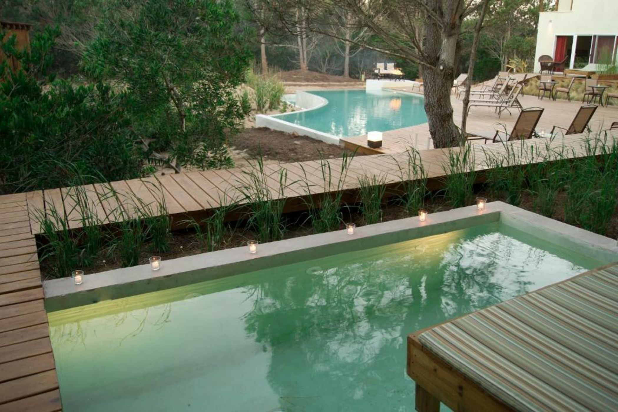 La Viuda de José Ignacio