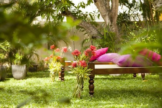 Mango House