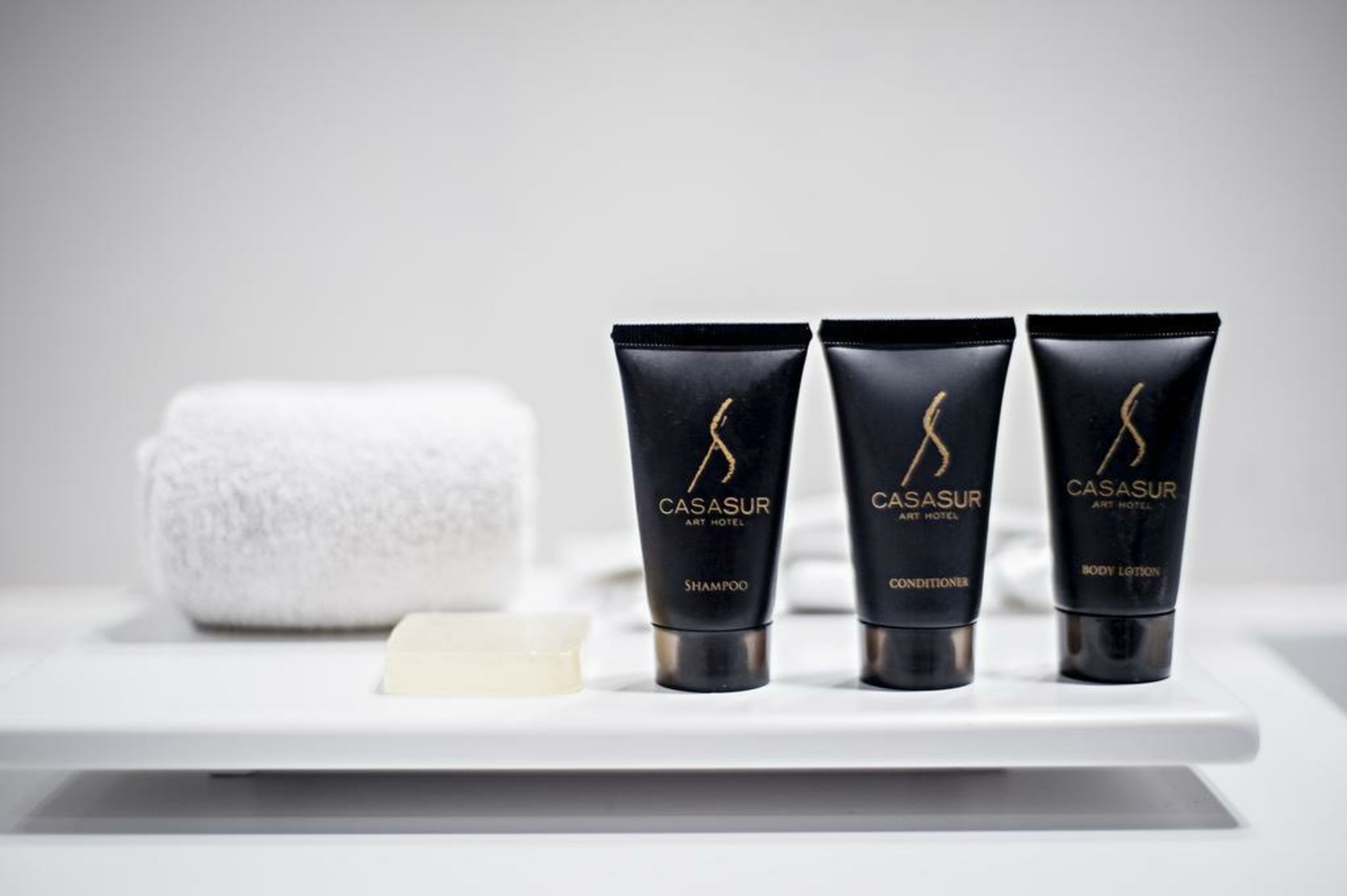 CasaSur Palermo Hotel