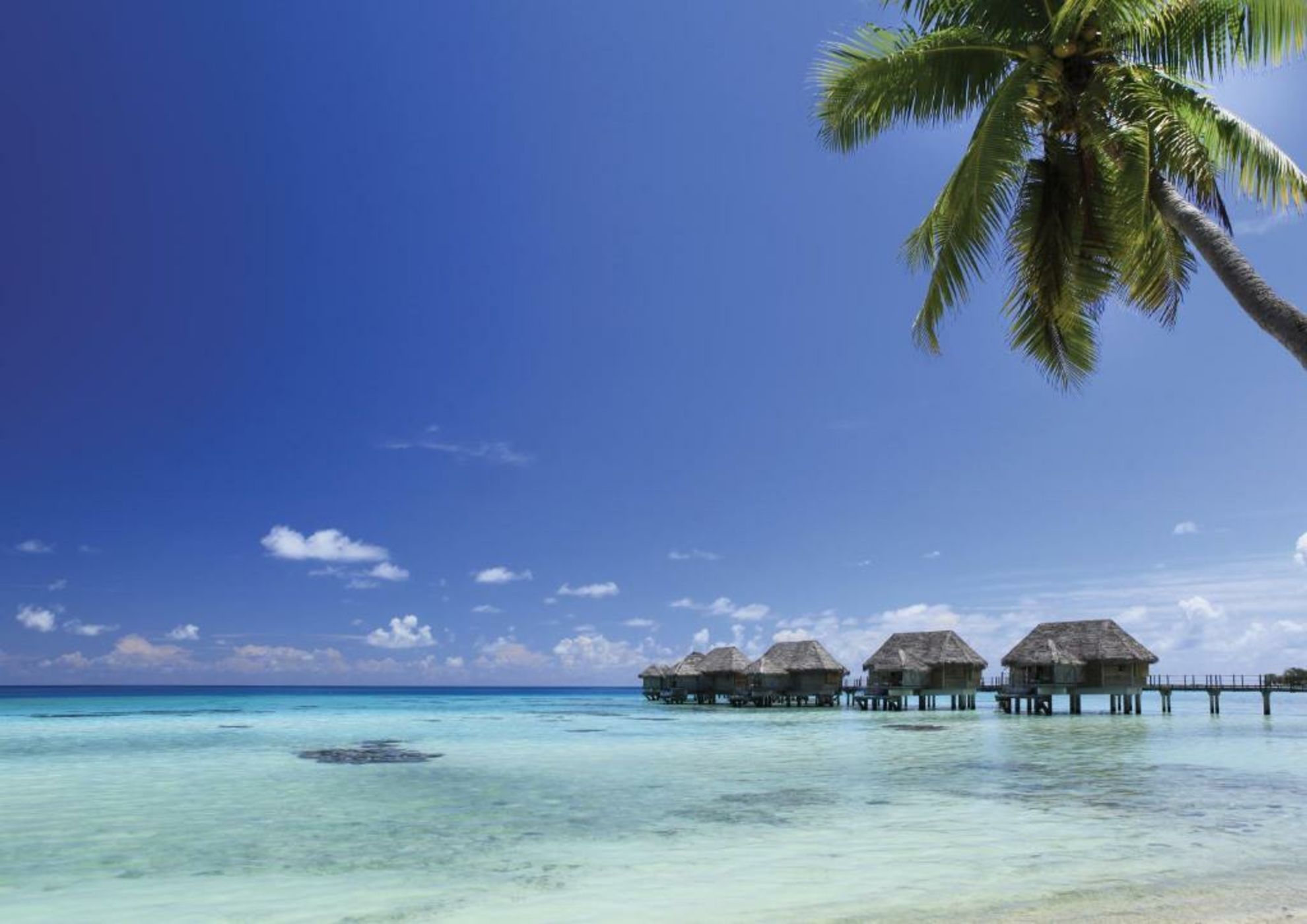 Le Tikehau by Pearl Resorts