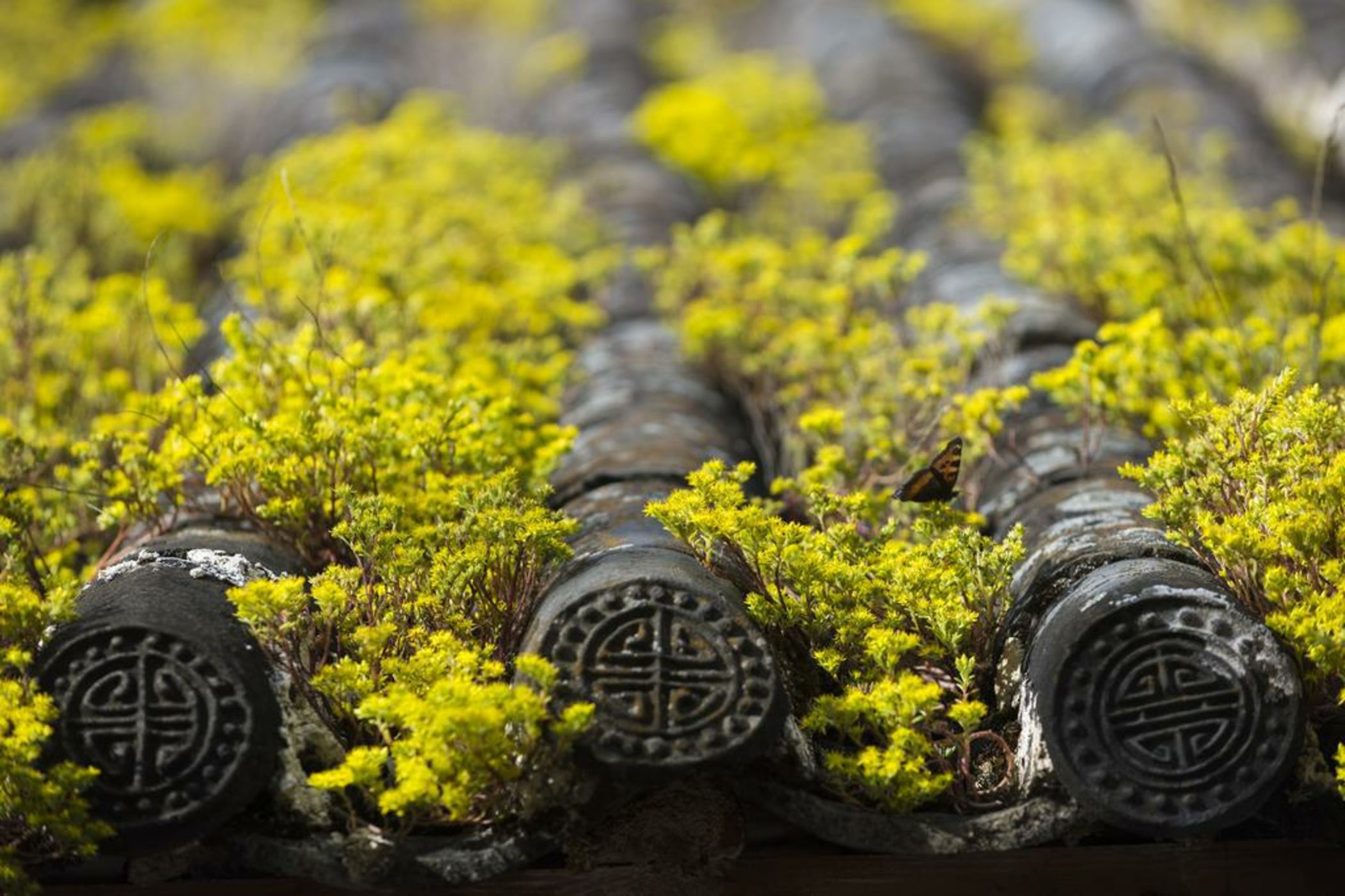 LUX* Tea Horse Road Lijiang