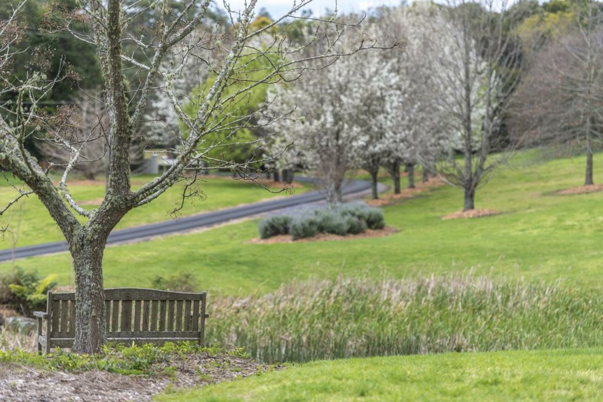 The Drawing Rooms of Berry