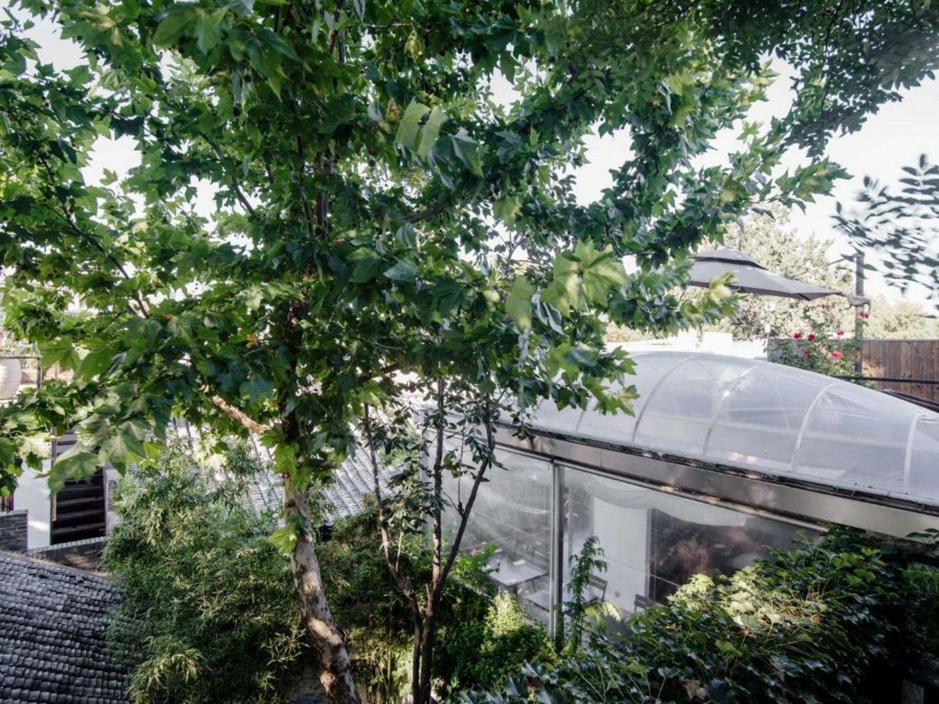 The Orchid Hotel - Old Town & Drum Tower