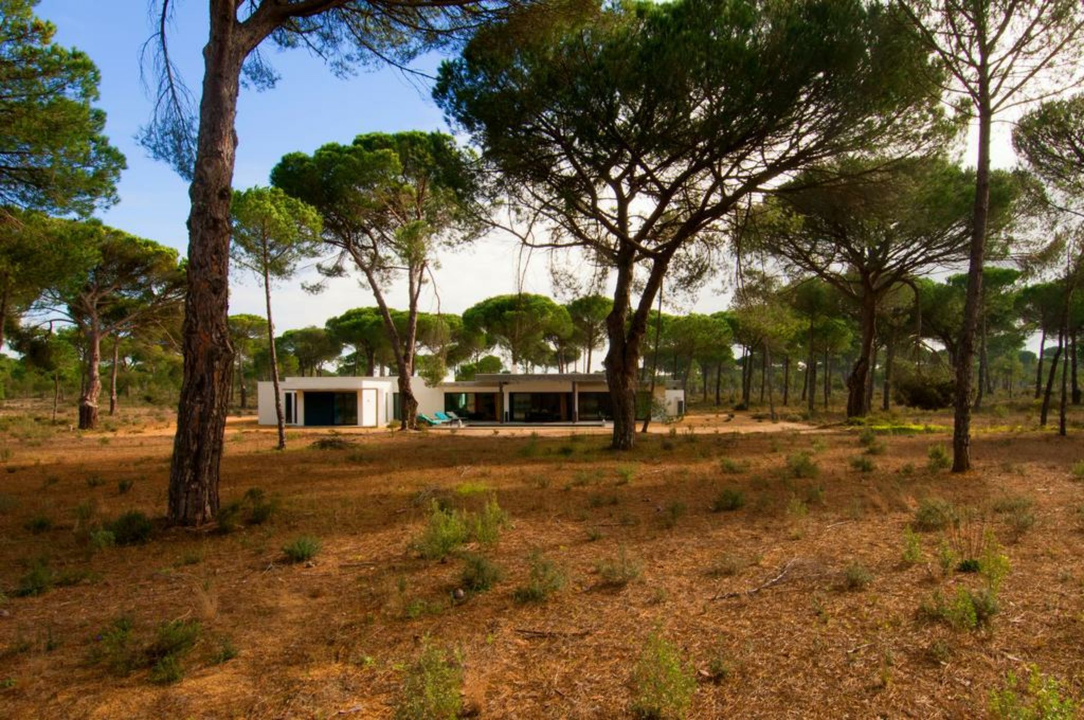 Luxury Monte Verde Villa