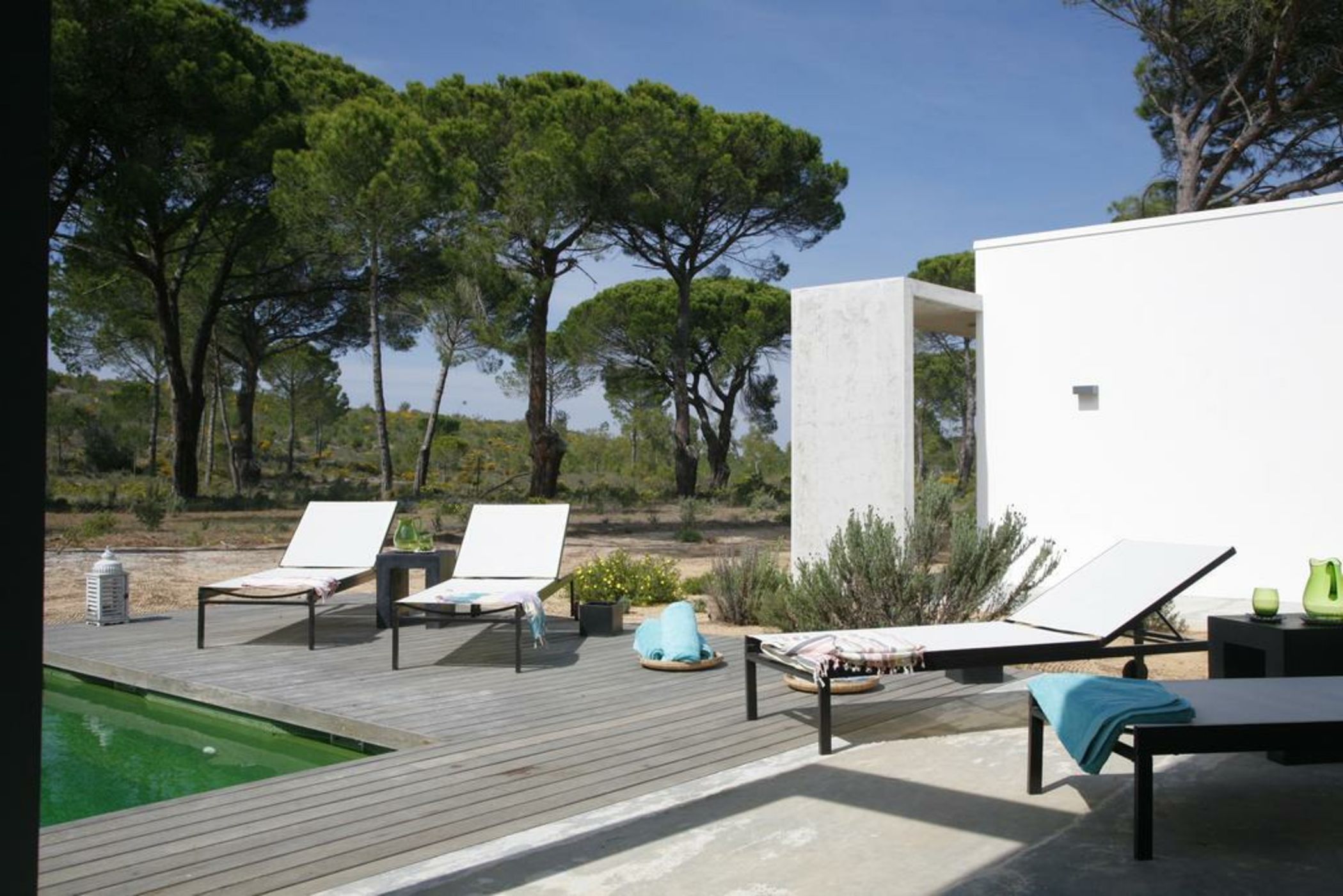 Luxury Monte Verde Villa