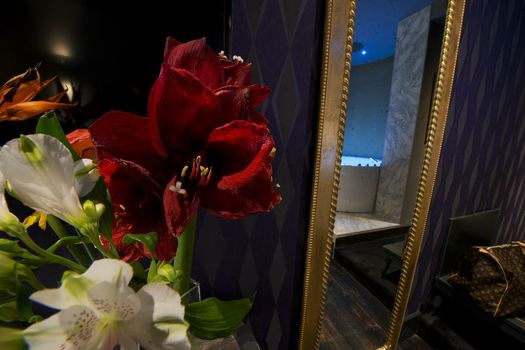 HT6 Hotel Roma