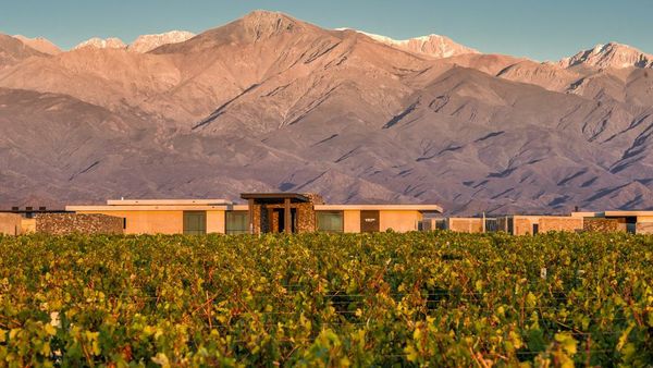 The Vines Resort & Spa